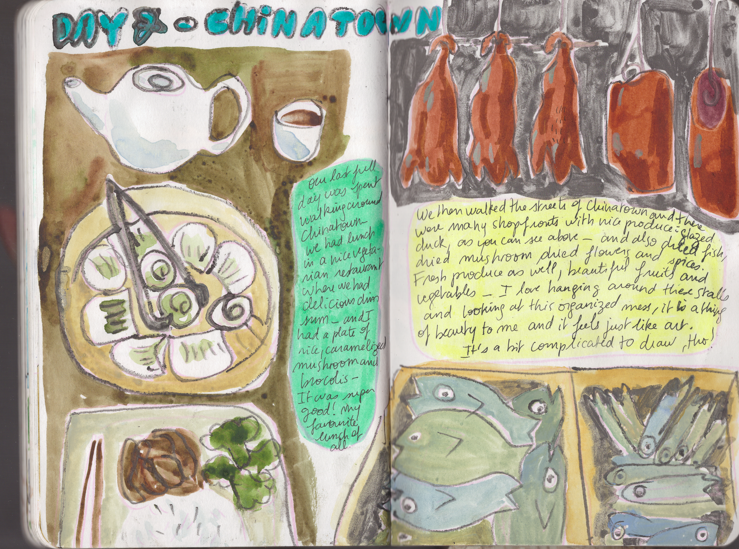 Chinatown - New York Travel Sketchbook