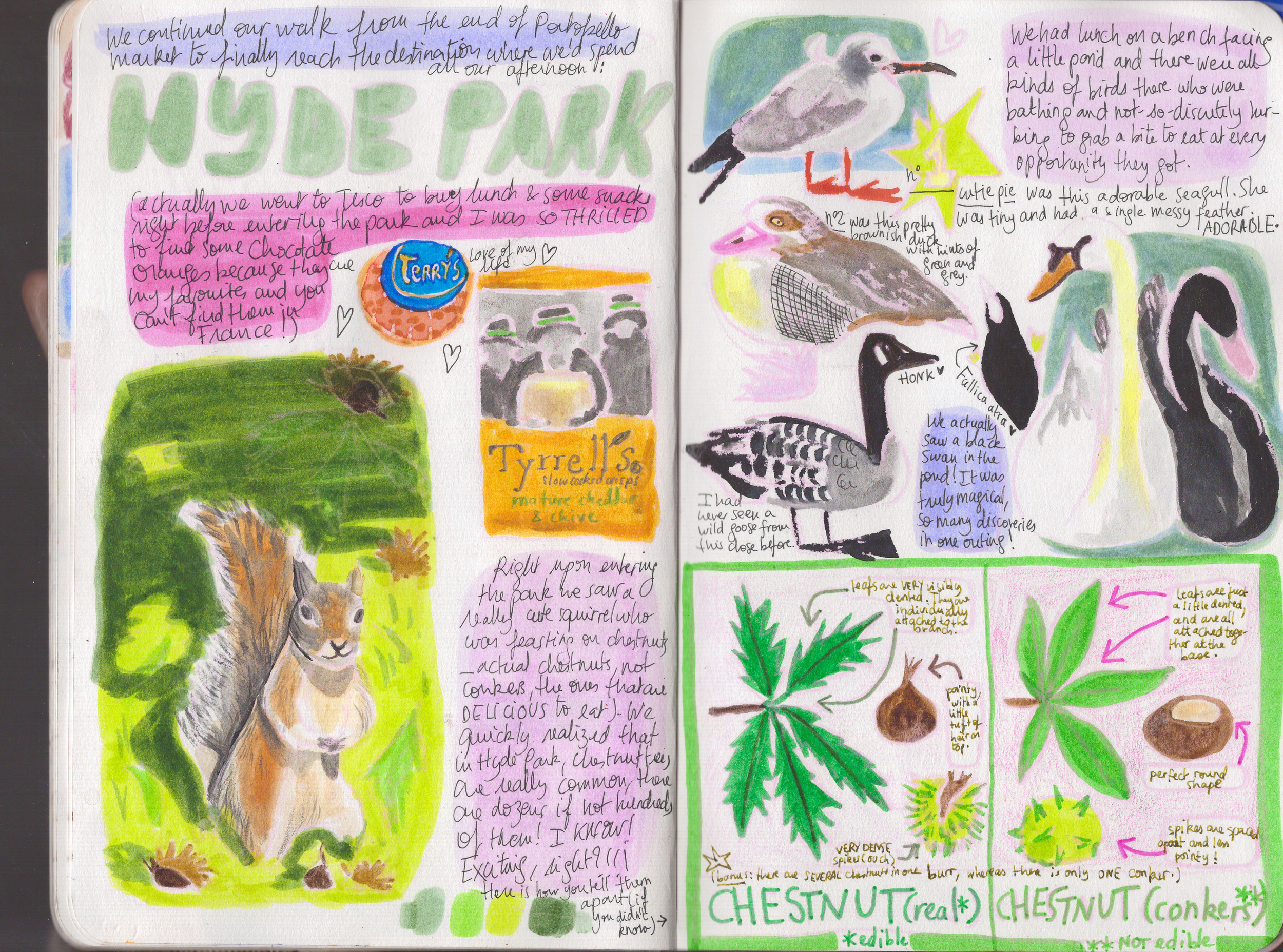 London Travel Sketchbook
