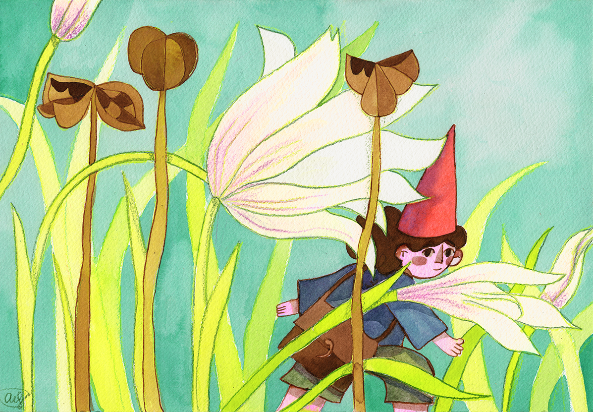 Illustration of a gnome walking in a field of flowers