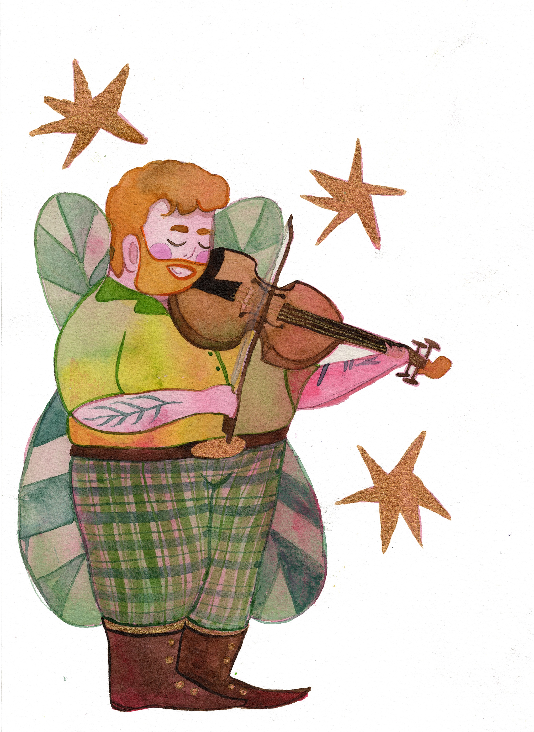The Fiddle Fairy - Hayden
