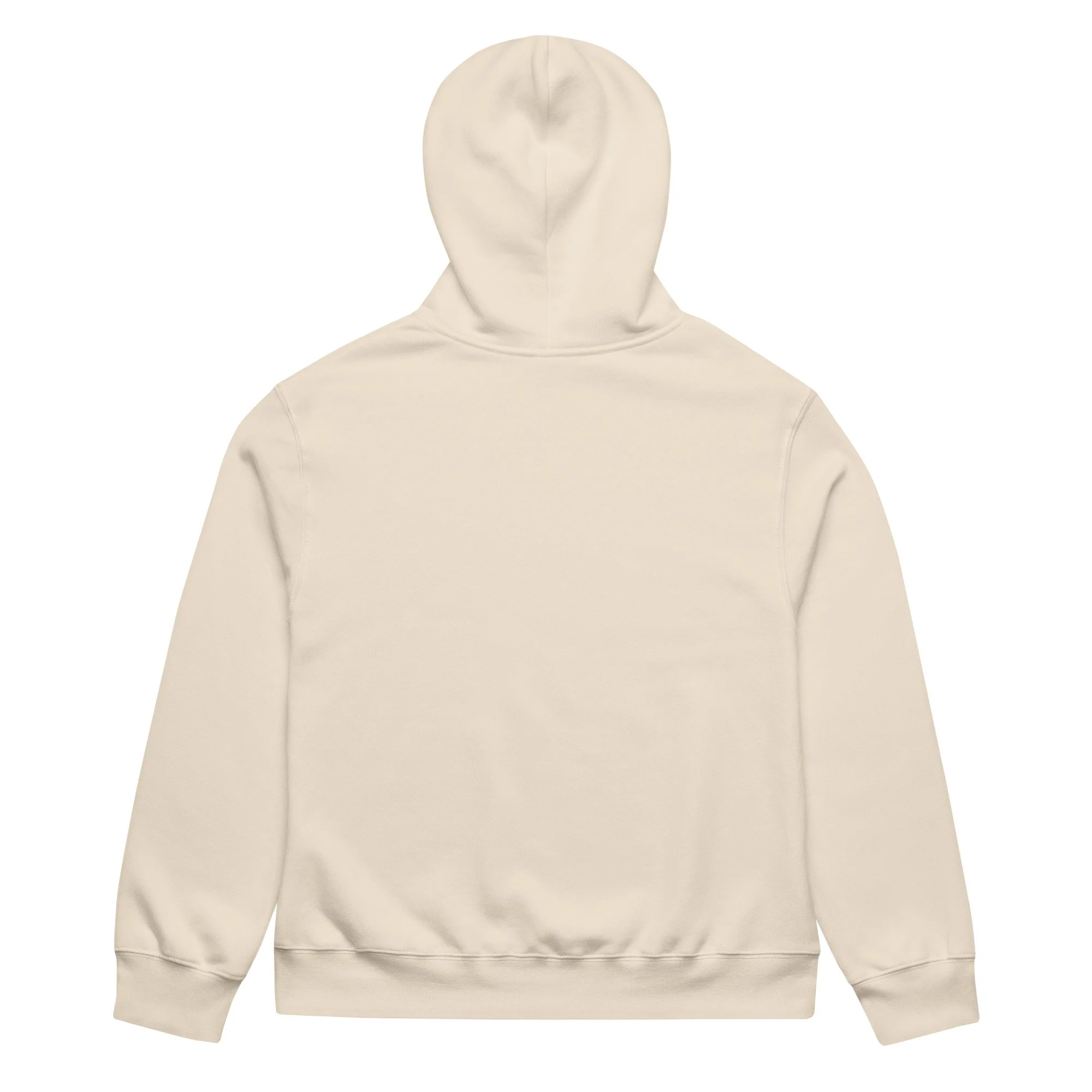 unisex-oversized-heavyweight-hoodie-dust-back-688b885dd64a6.jpg