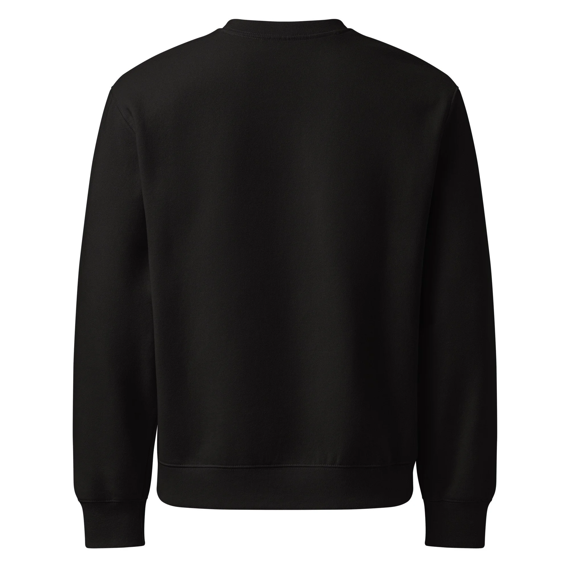 unisex-oversized-heavyweight-sweatshirt-black-back-688b888fe2088.jpg