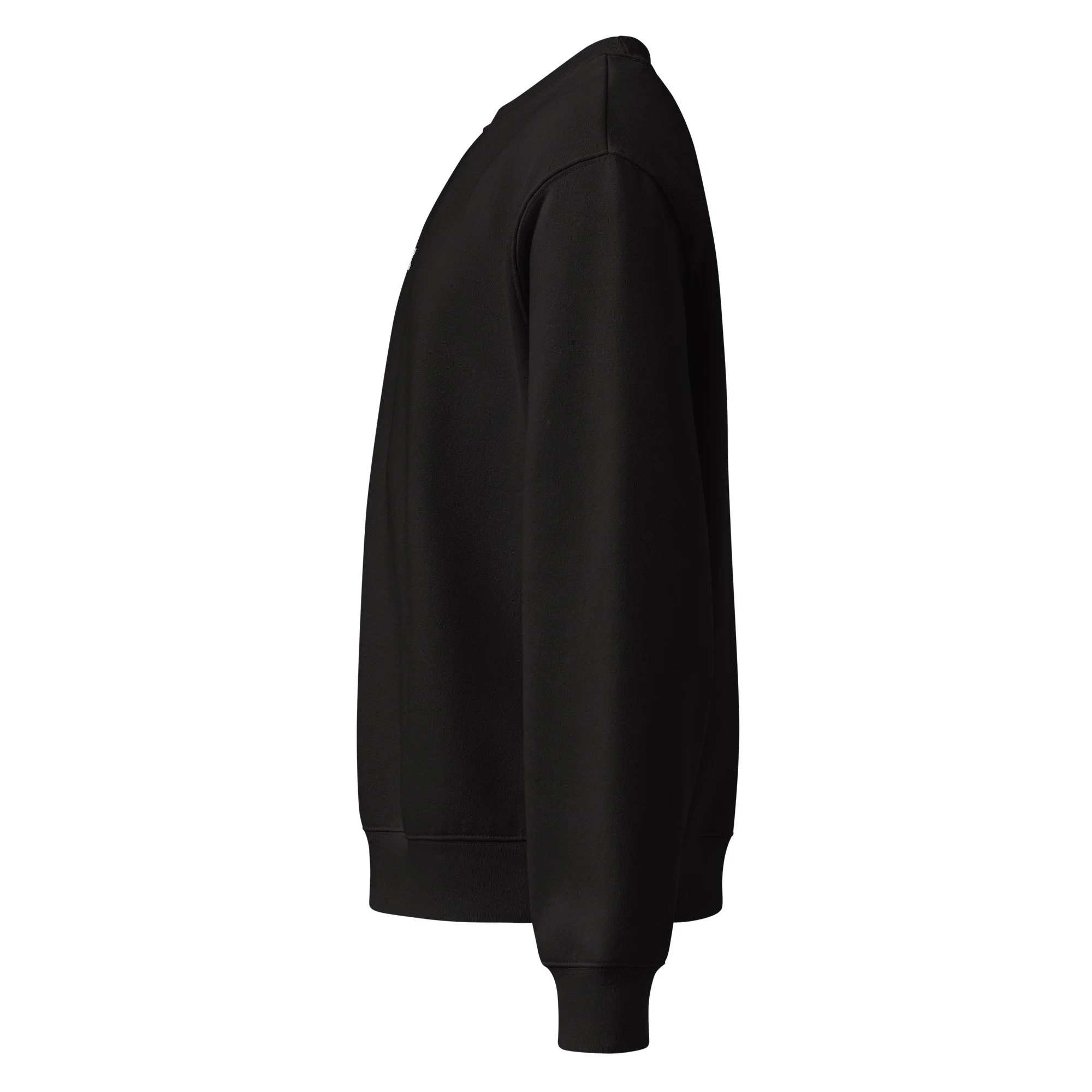 unisex-oversized-heavyweight-sweatshirt-black-left-688b888fe218d.jpg