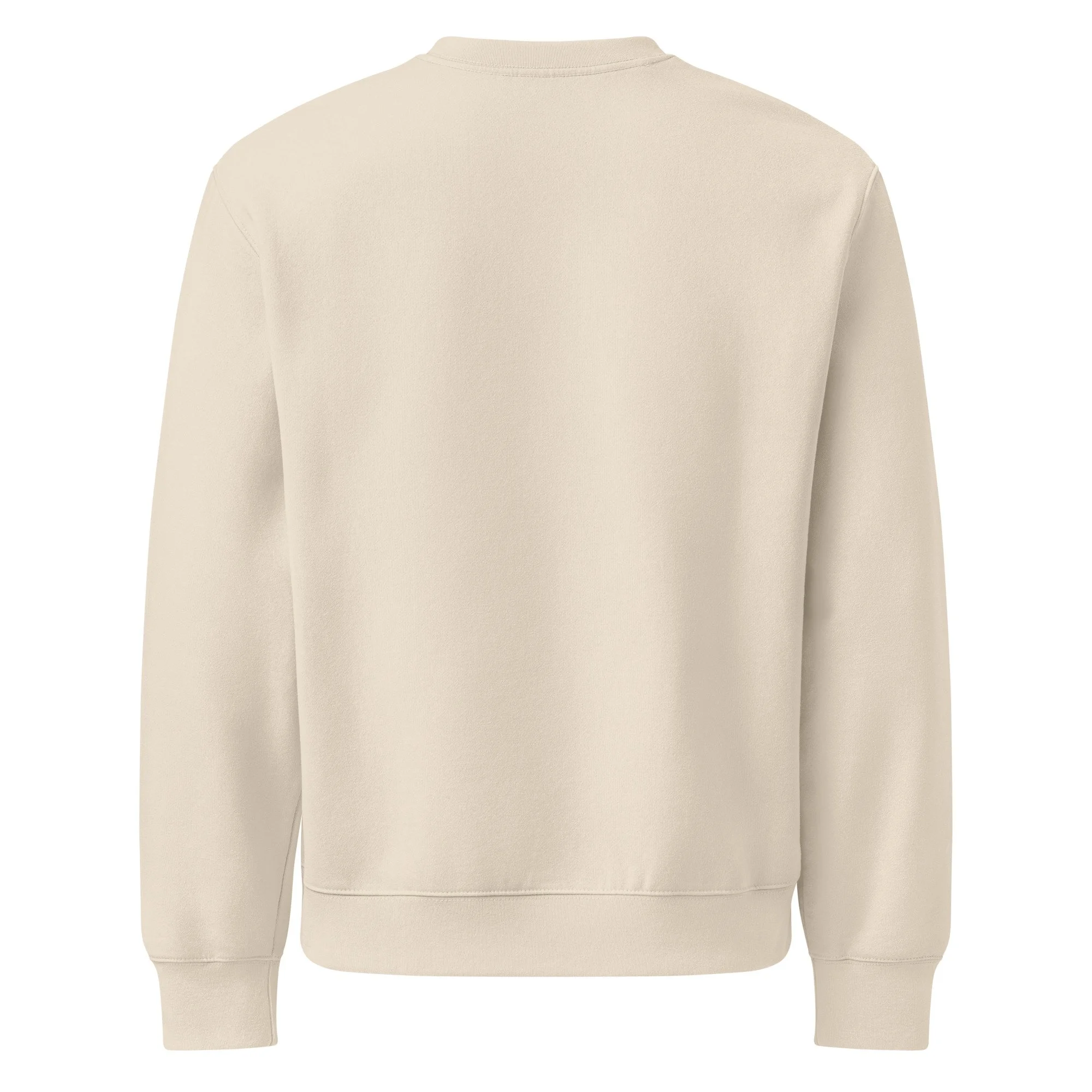 unisex-oversized-heavyweight-sweatshirt-dust-back-688b888fe3443.jpg