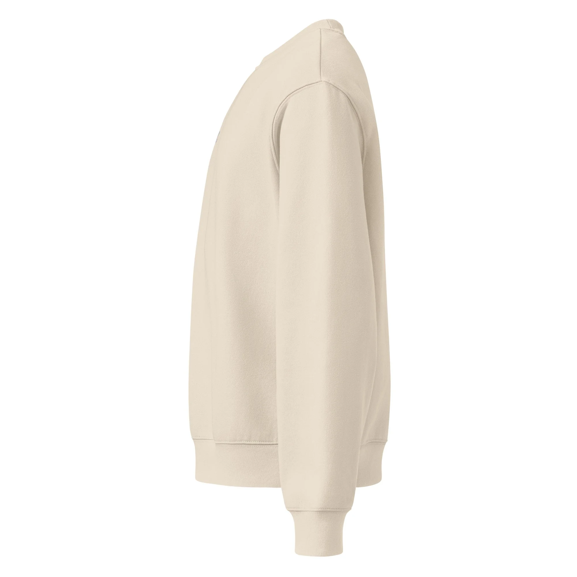 unisex-oversized-heavyweight-sweatshirt-dust-left-688b888fe388a.jpg