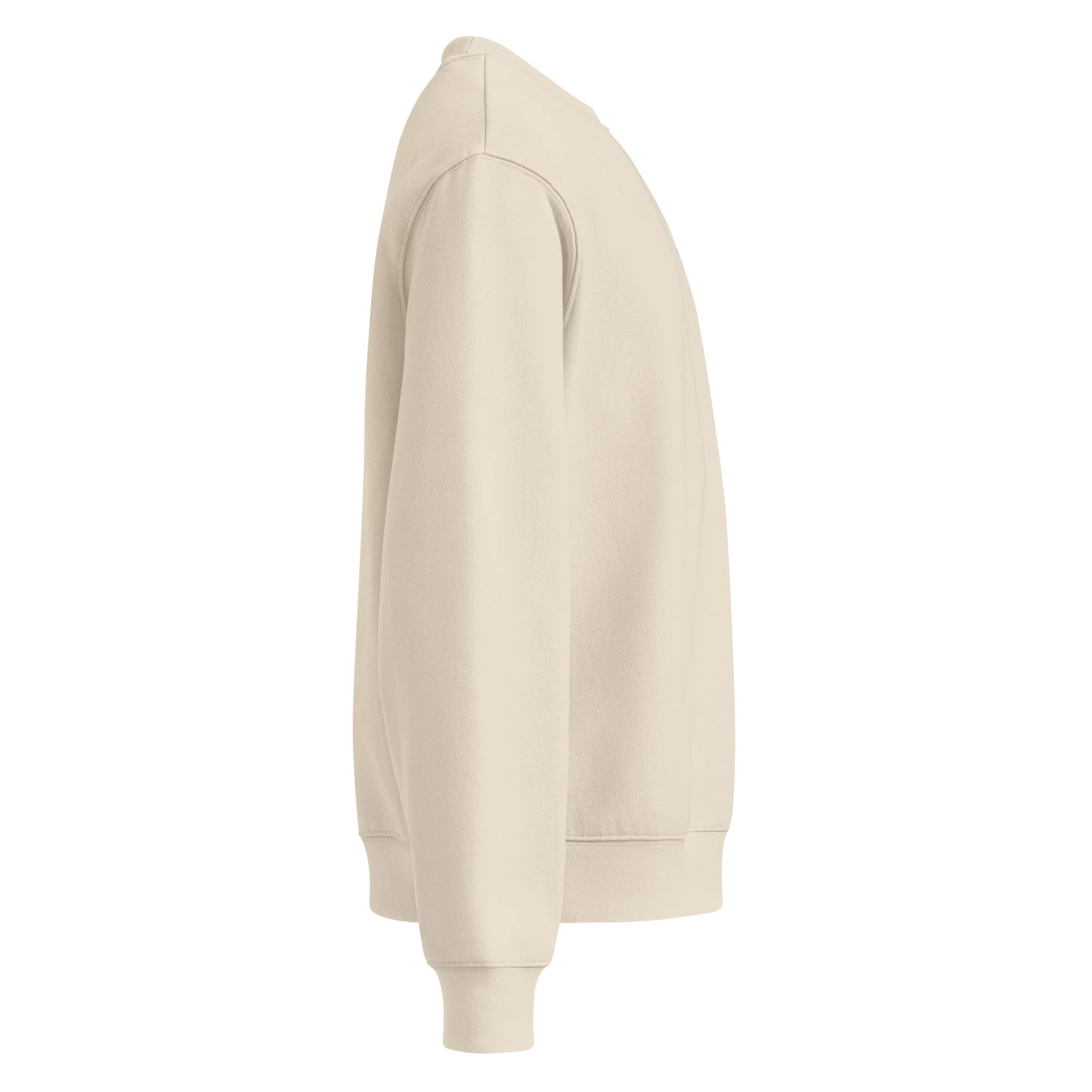 unisex-oversized-heavyweight-sweatshirt-dust-right-688b888fe3ce9.jpg