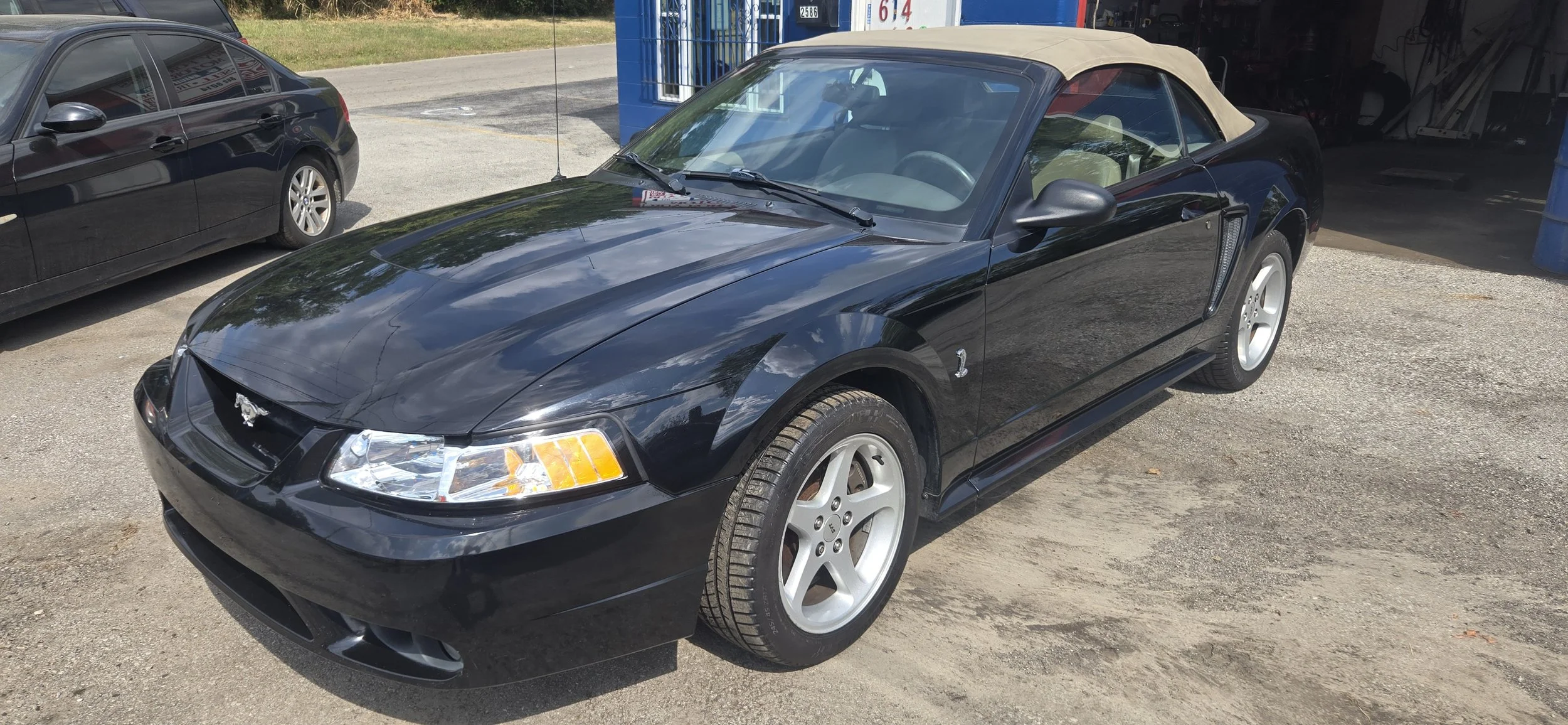 1999 Ford Mustang SVT COBRA Convertible