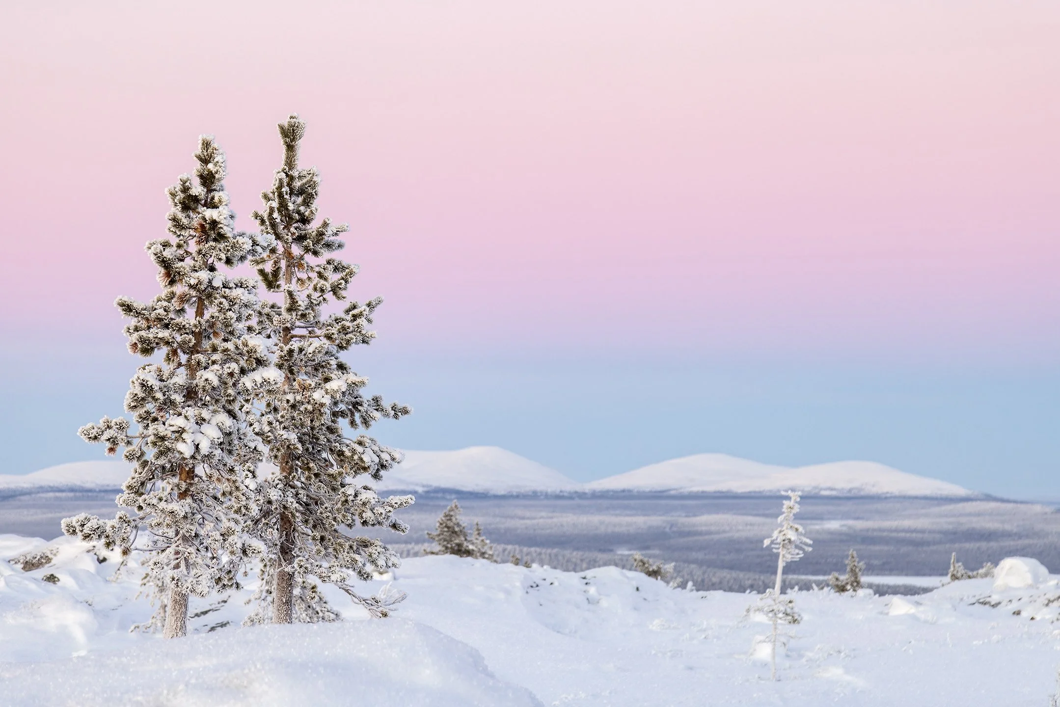 Arctic light at Särkitunturi fell in Finnish Lapland