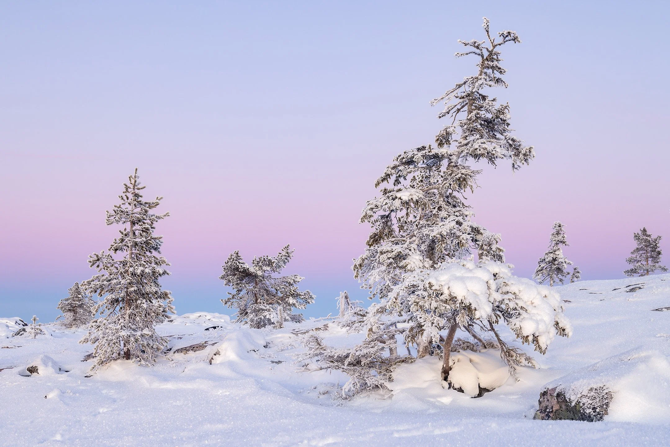 Arctic light at Särkitunturi fell in Finnish Lapland