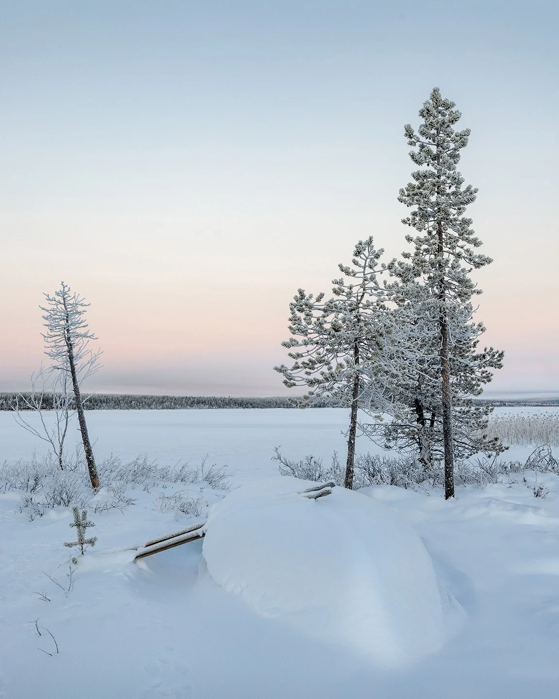 The cold stillness of a winter's morning in Finnish Lapland
