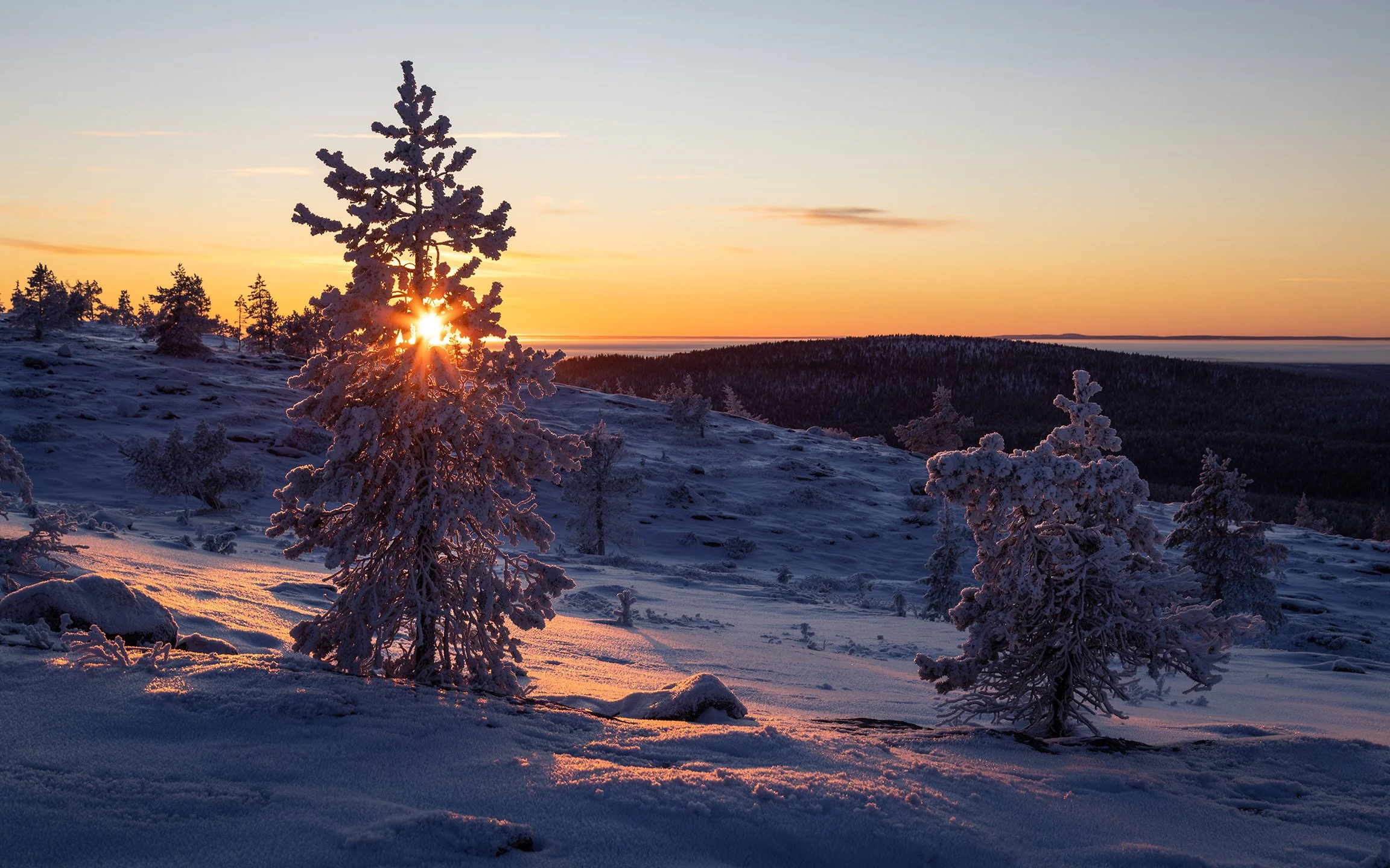 Arctic sunset at Särkitunturi fell in Finnish Lapland
