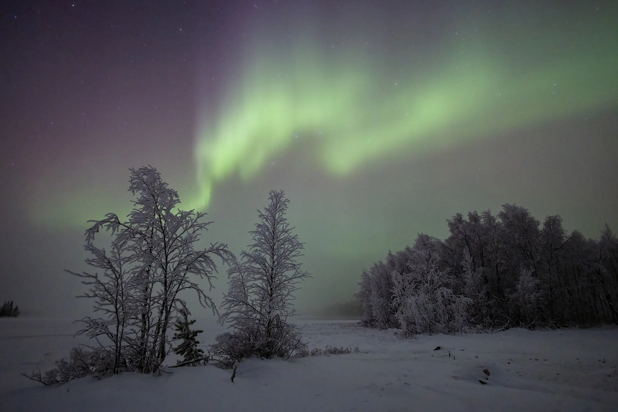 A Foggy Aurora in Finnish Lapland