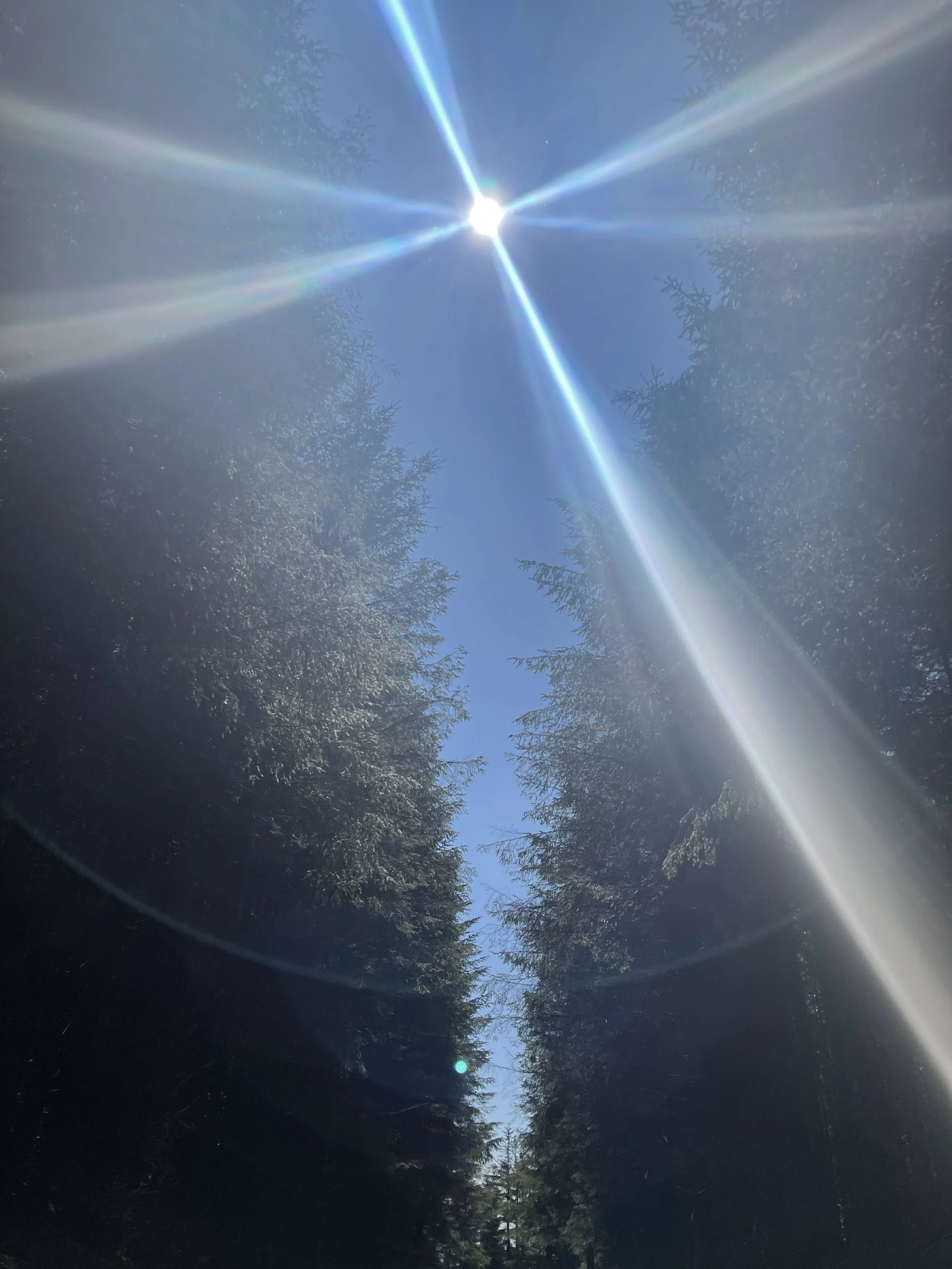 Moving With Life, Not Against It