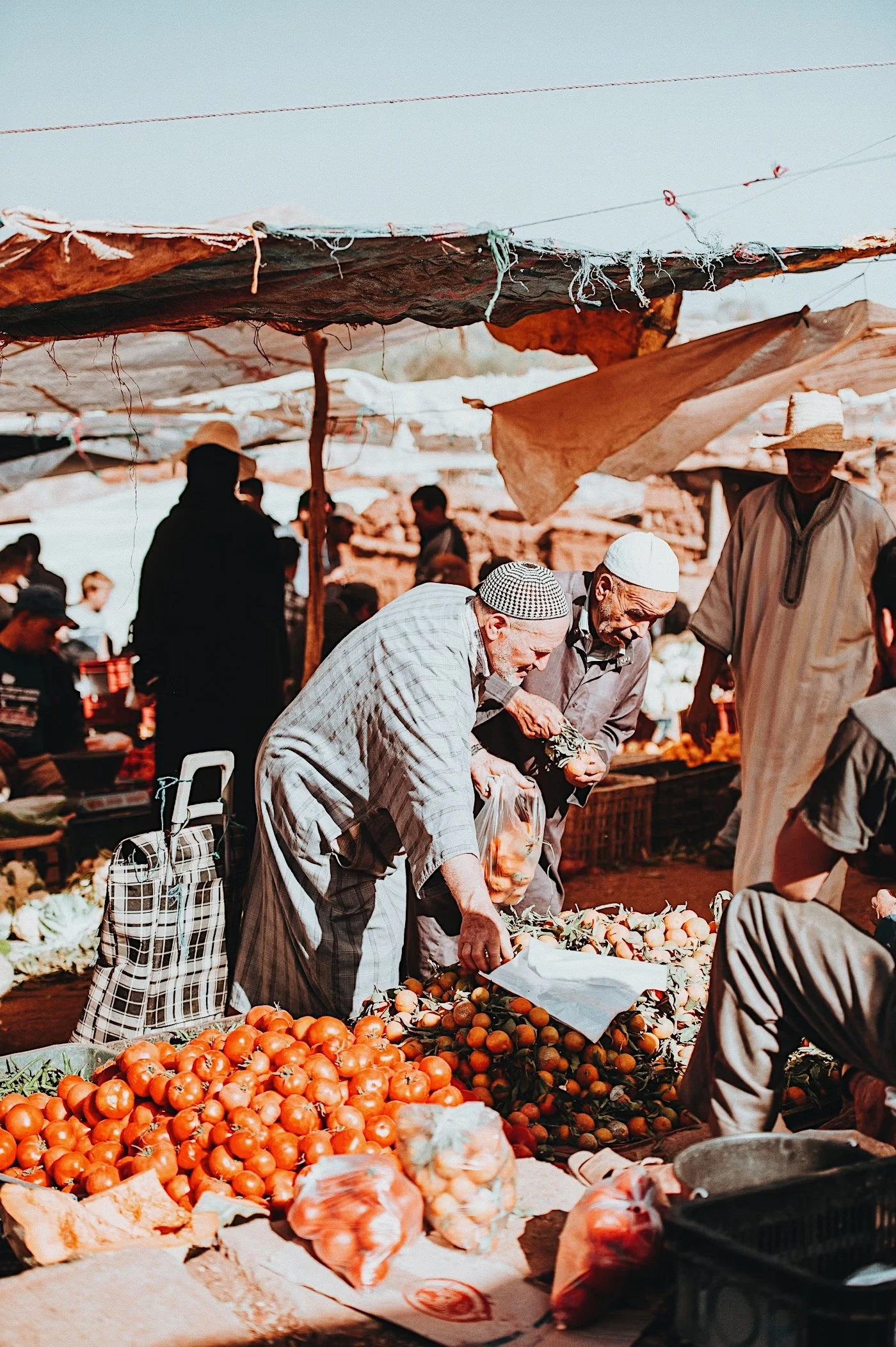 Rows of orange and tomato stalls at a Marrakech market, seen from below a patchwork of stretched canvas awnings filtering the sunlight