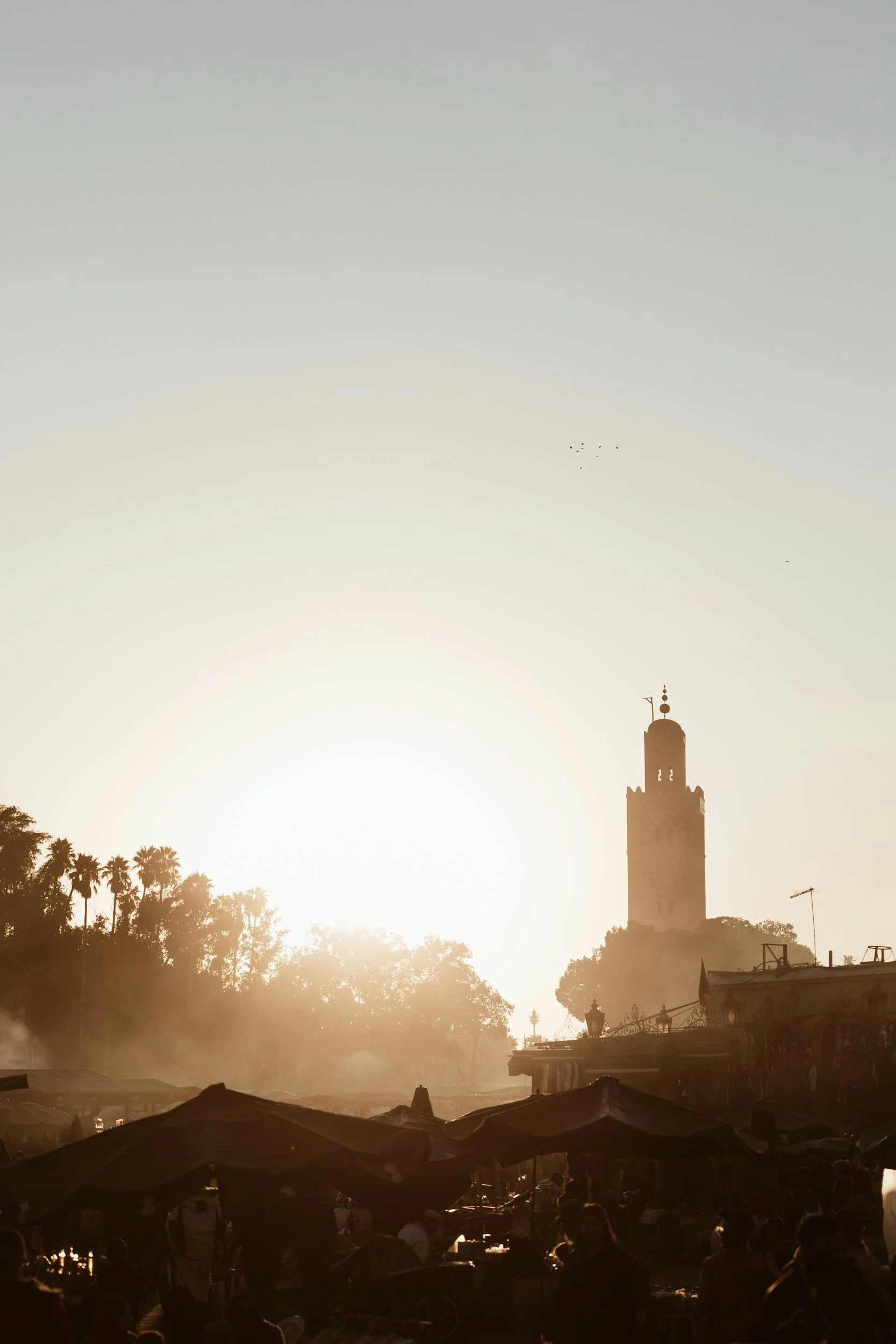 Silhouette of market stalls and people at sunset with a tall clock tower and trees in the background.