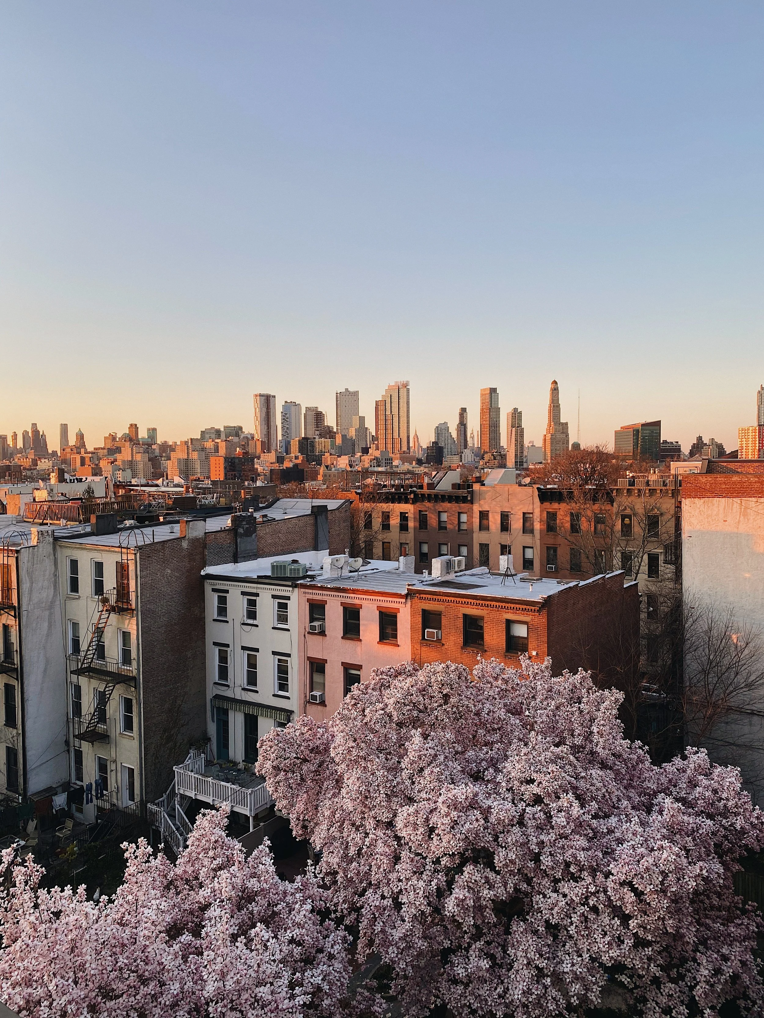 Brooklyn brownstones at golden hour