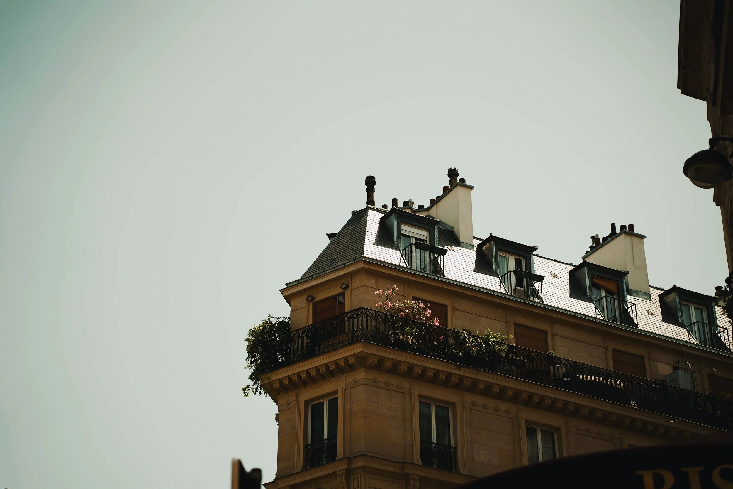 Haussmann building rooftop with mansard roof, chimneys, and a flower-filled balcony, shot from below against a pale sky