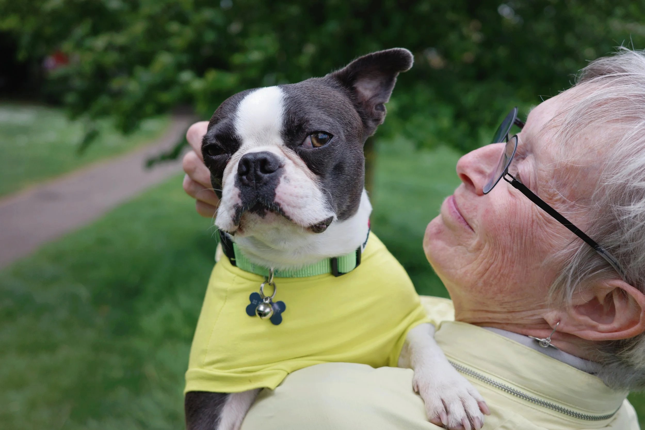 AfterlightImage 3.JPG