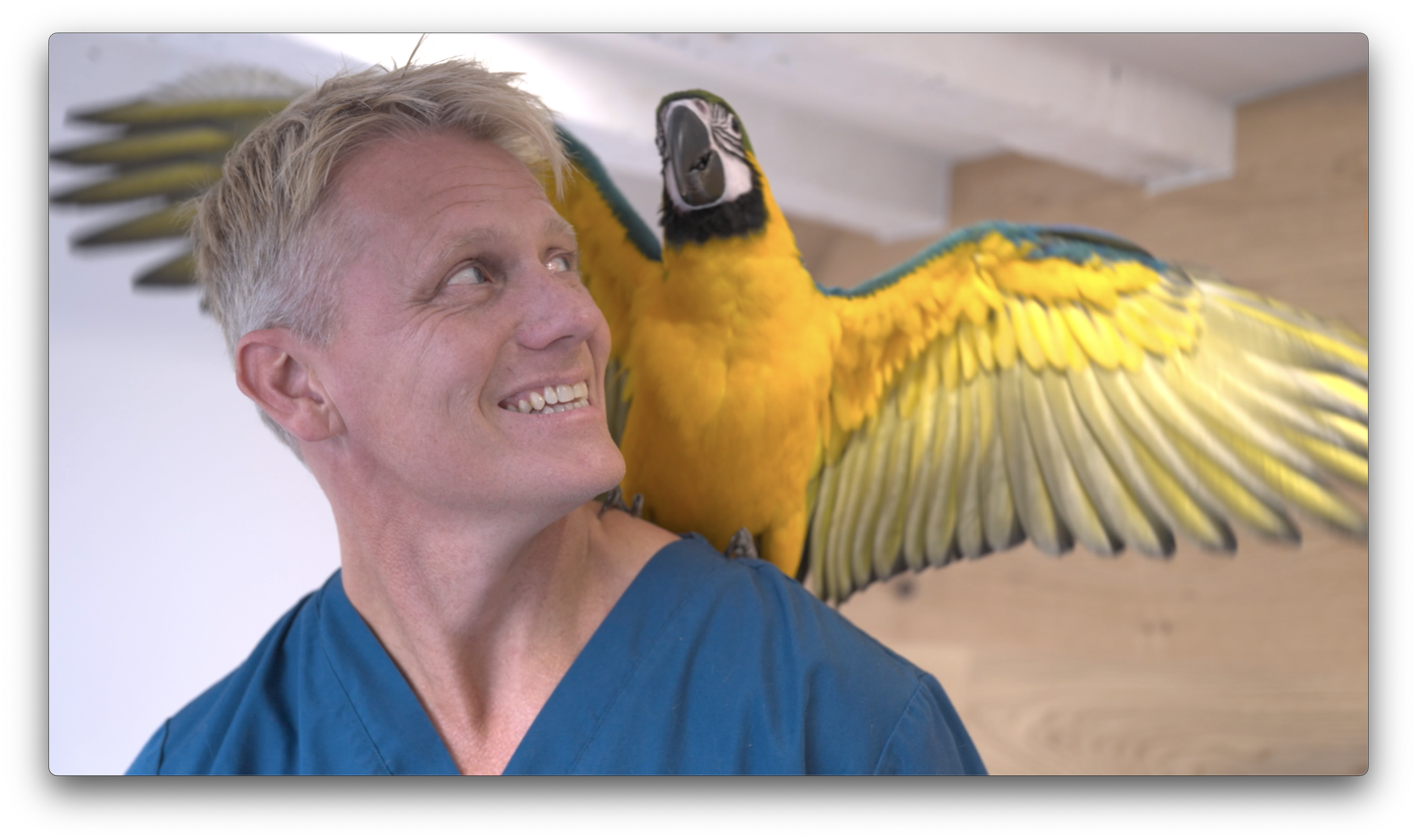 Screenshot 2025-01-18 at 16.41.16.png