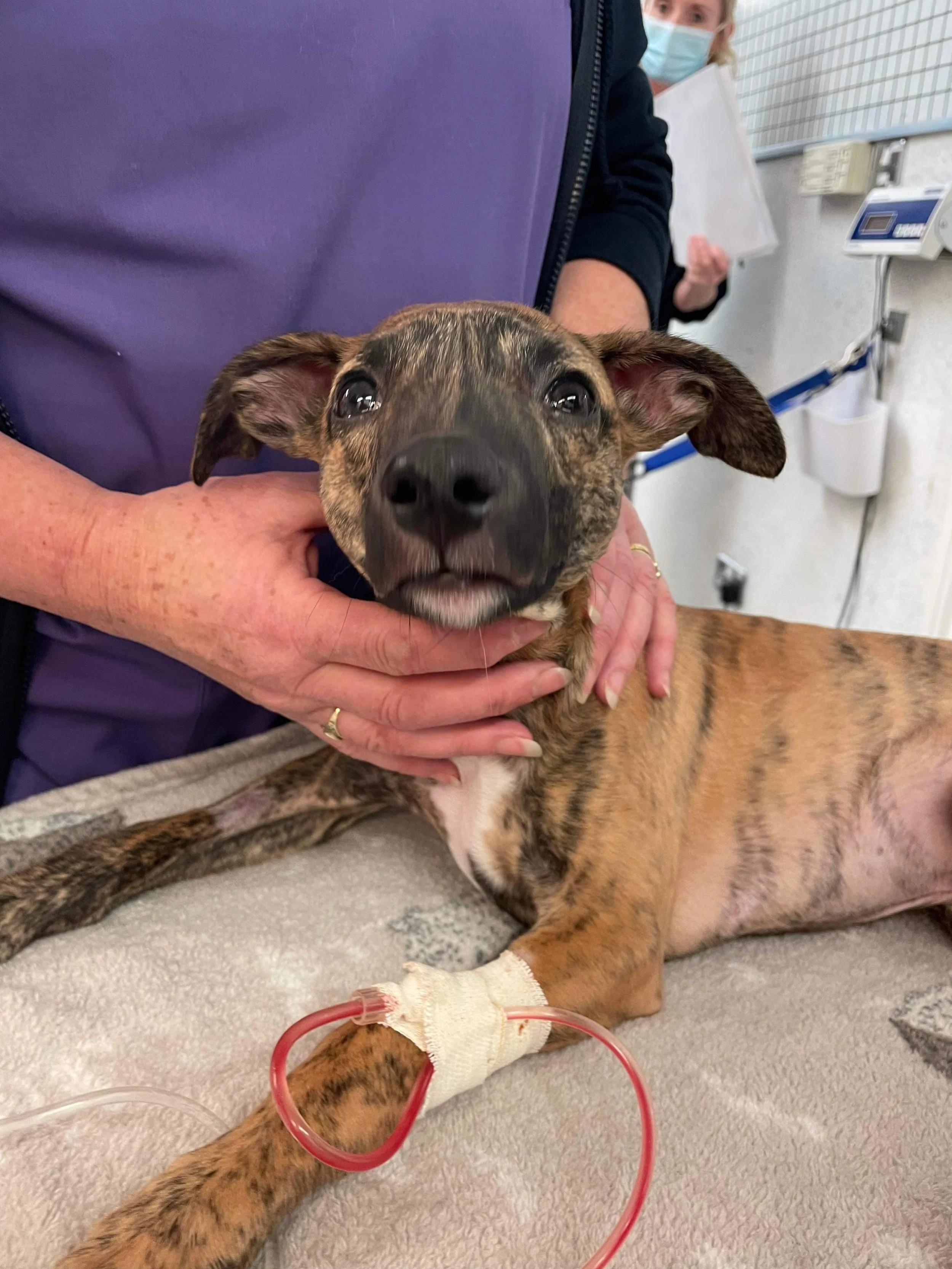 Copy of E8219FE6-A21F-48E8-92A9-F34BB90F4675.jpeg