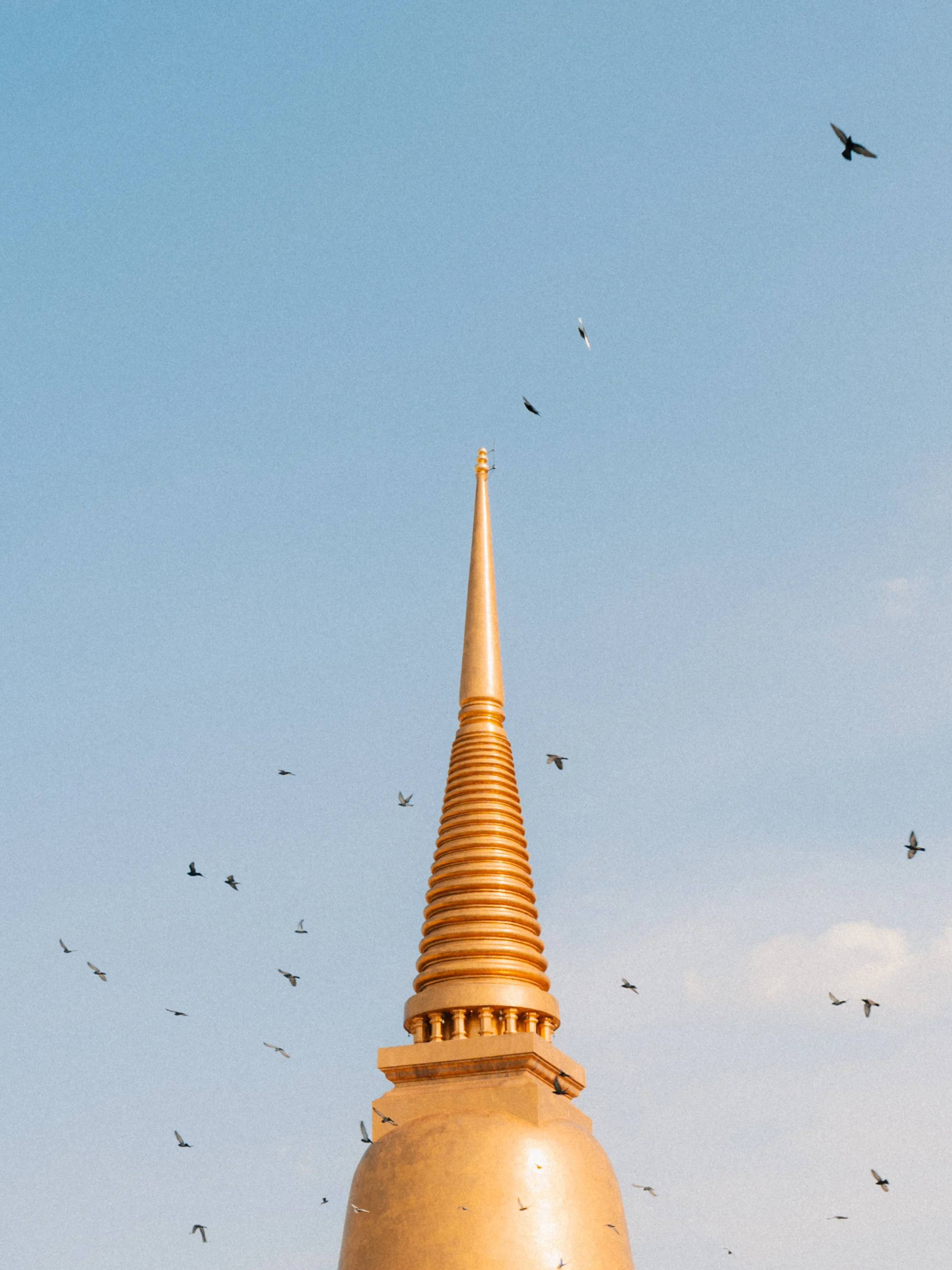 Golden pagoda surrounded by flying birds in Thailand