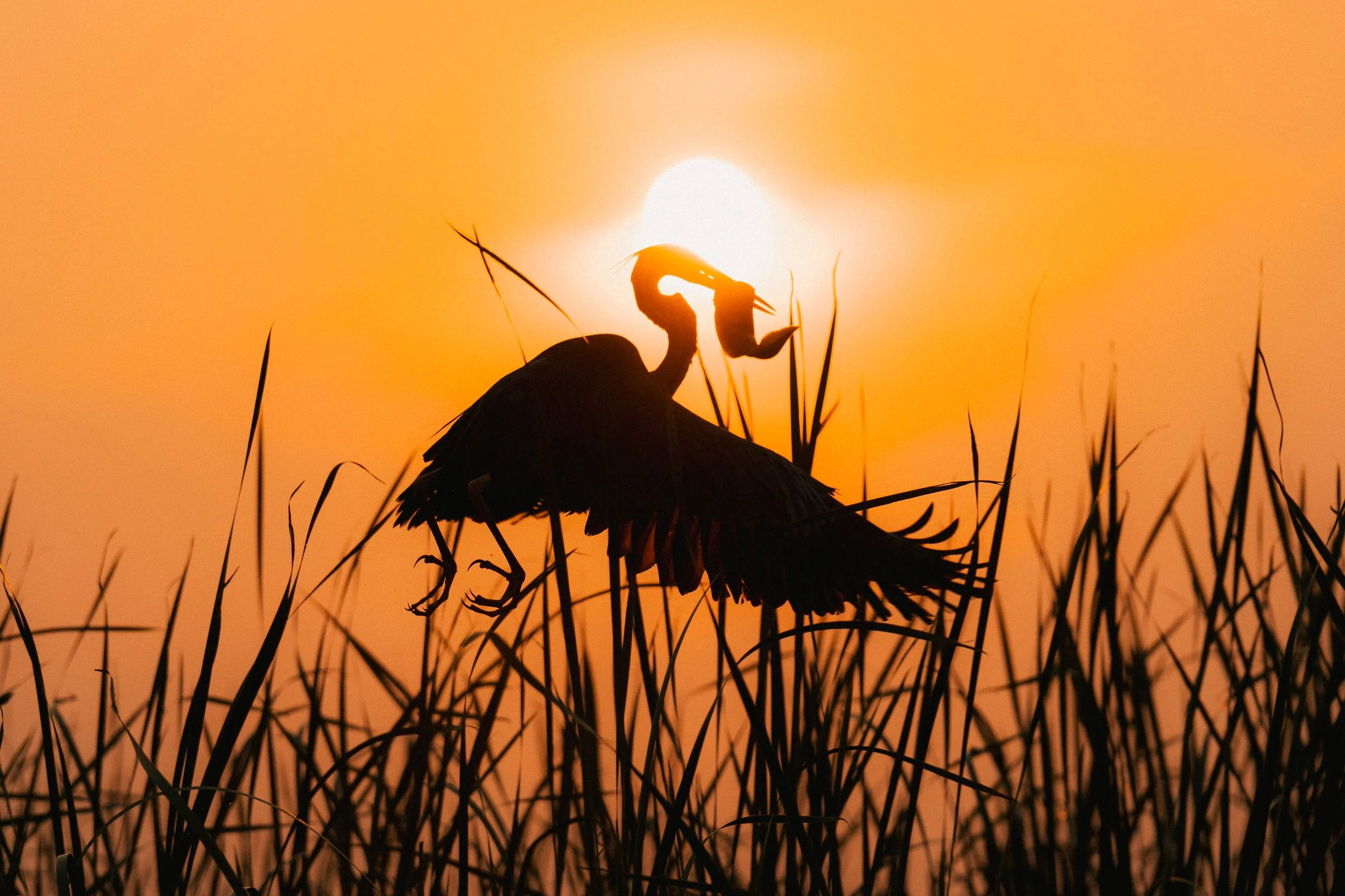 DANNY CLARKE FINE ART TRAVEL PHOTOGRAPHY PRINTS-55.jpg