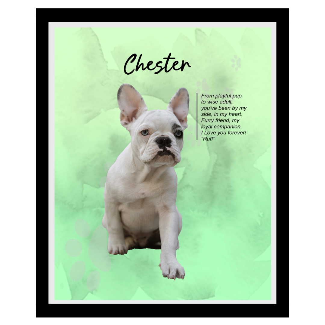 chester (4).png