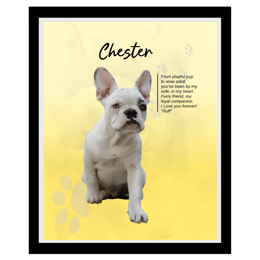 chester (3).png