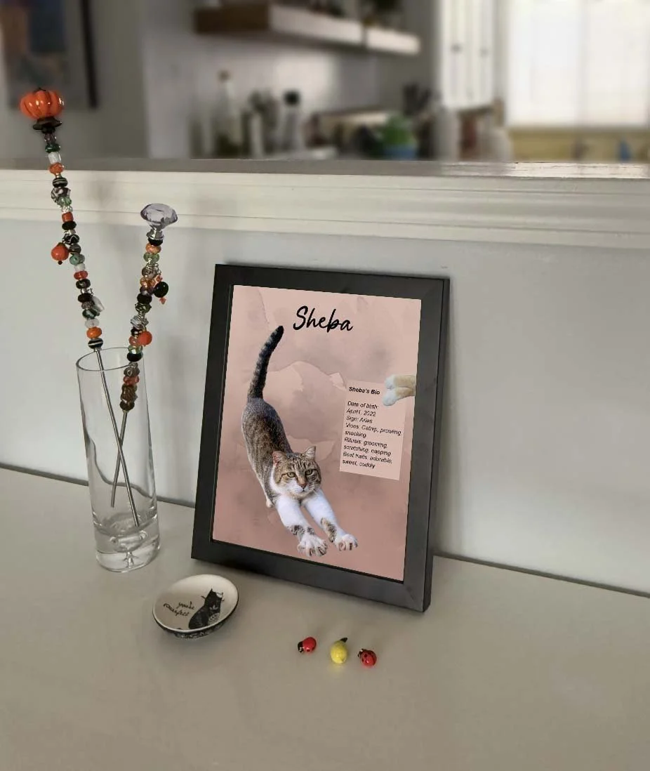 8X10 sheba wall frame1.jpg