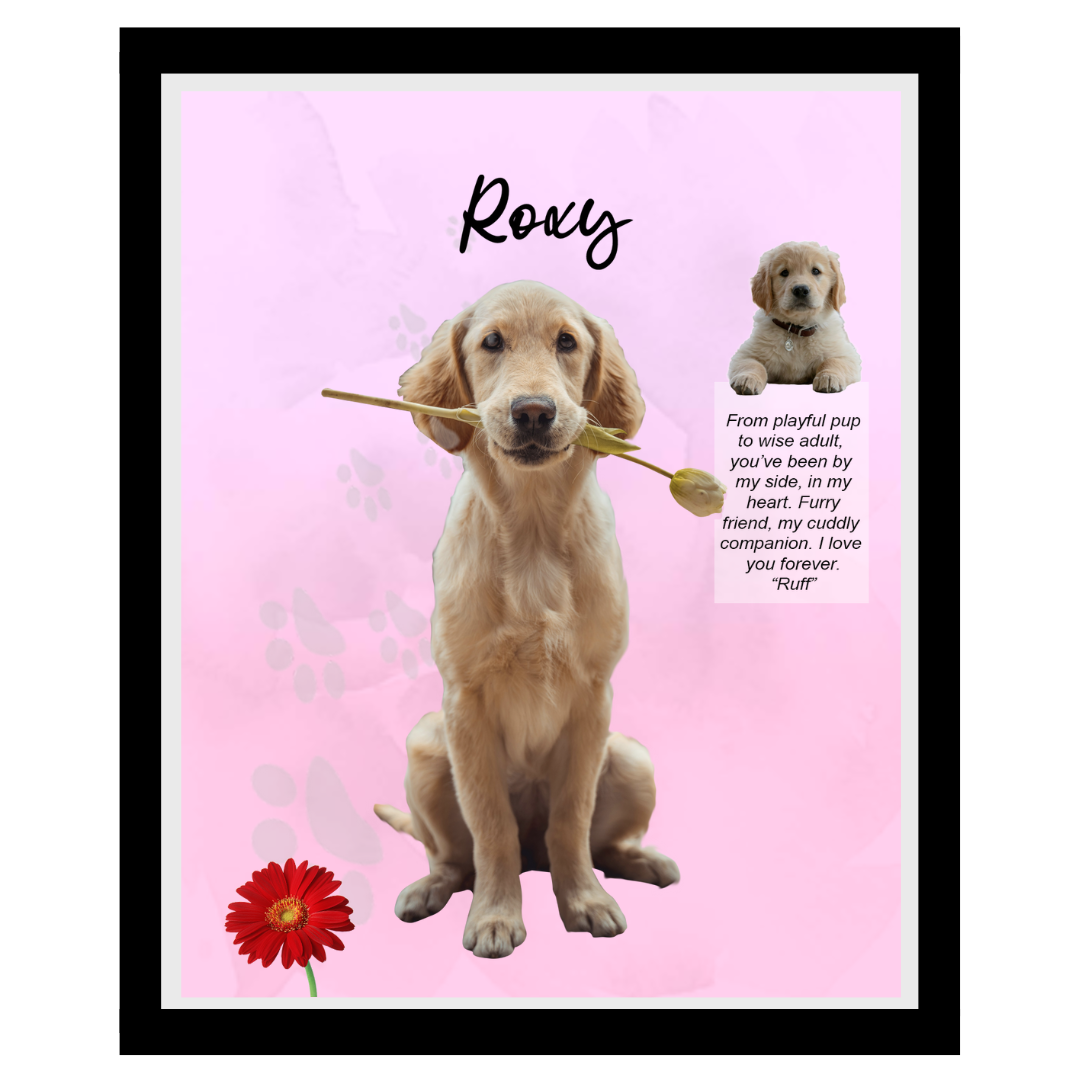 roxy (2).png