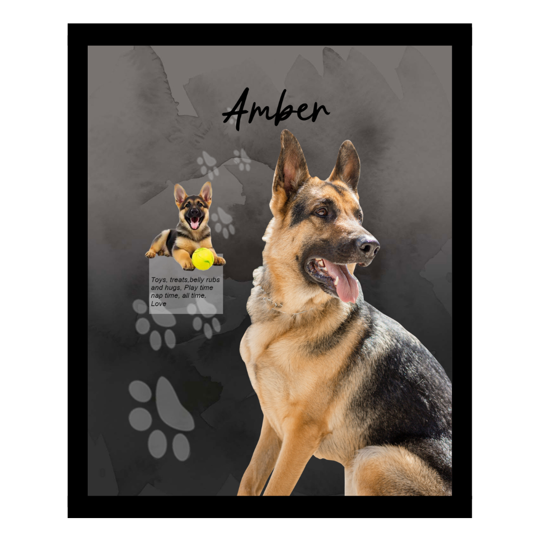 amber (5).png