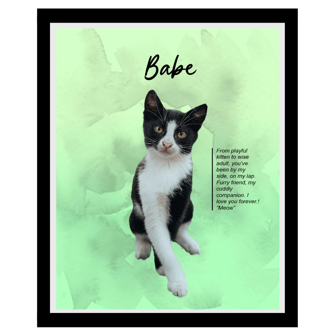 babe (5).png