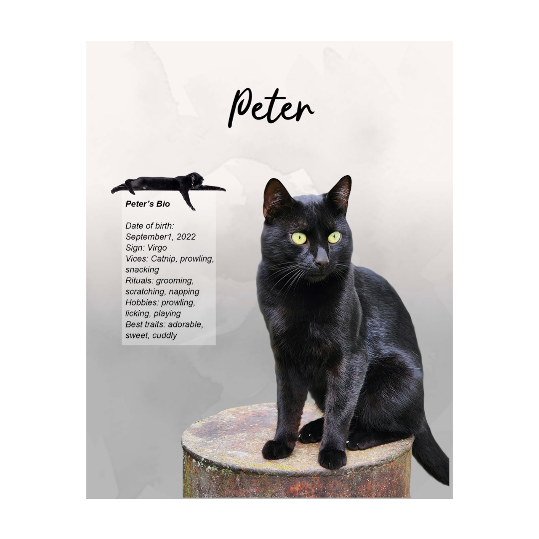 peter (3).png