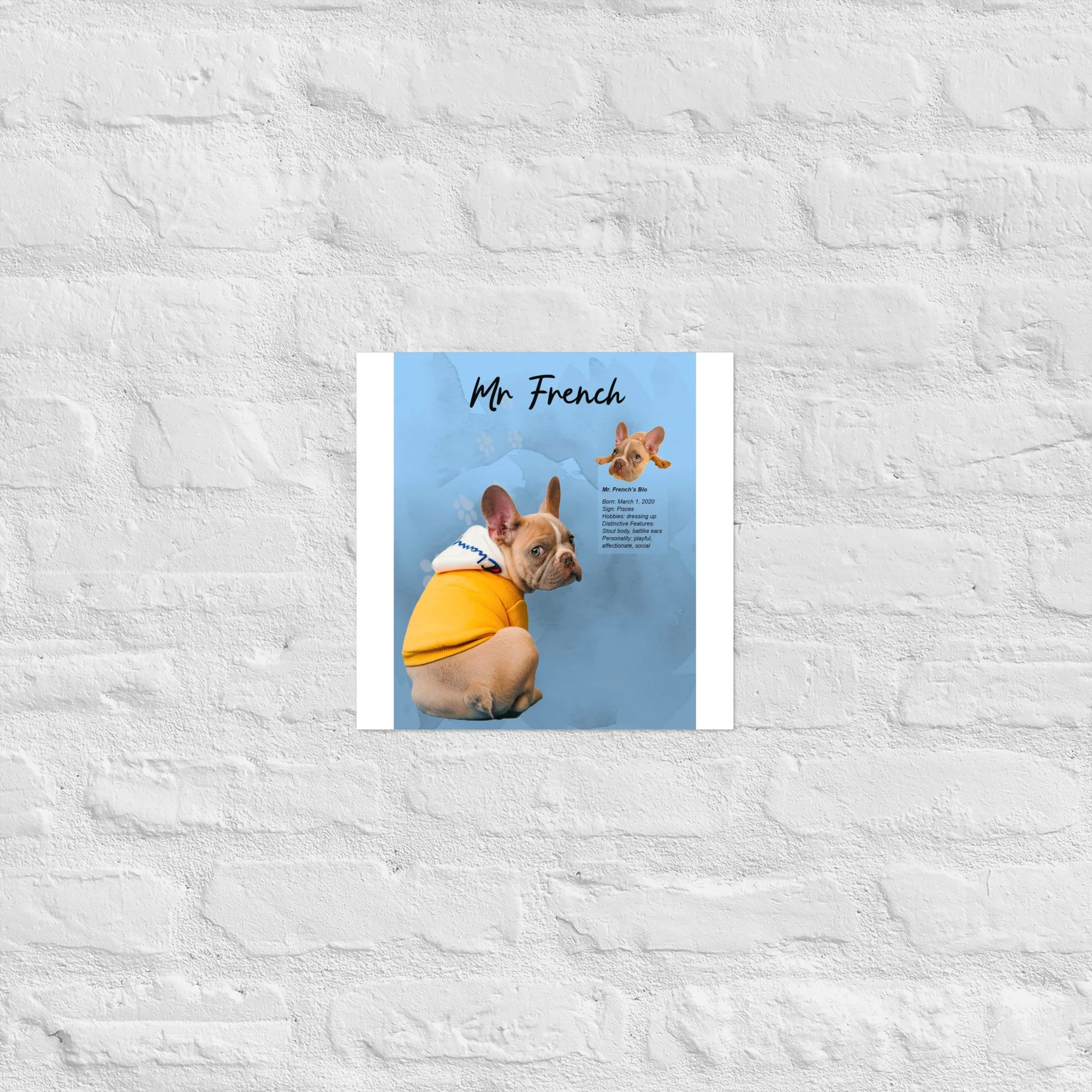 enhanced-matte-paper-poster-(in)-12x12-front-68a6613517d16.jpg