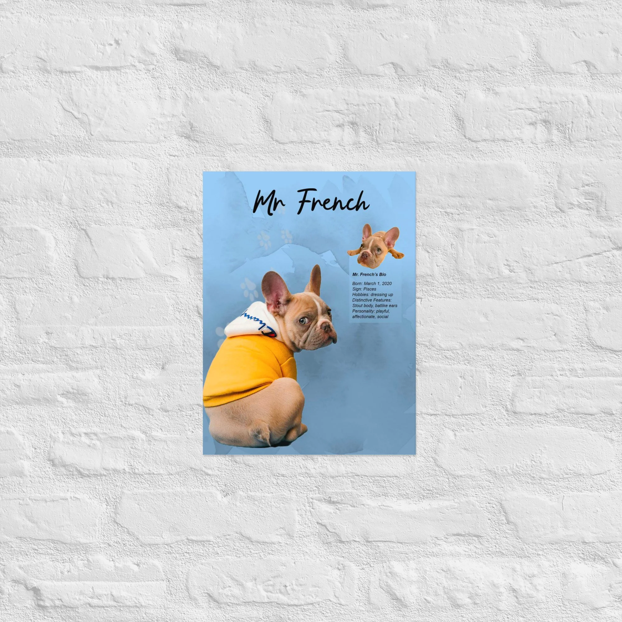 enhanced-matte-paper-poster-(in)-12x16-front-68a6613517db0.jpg