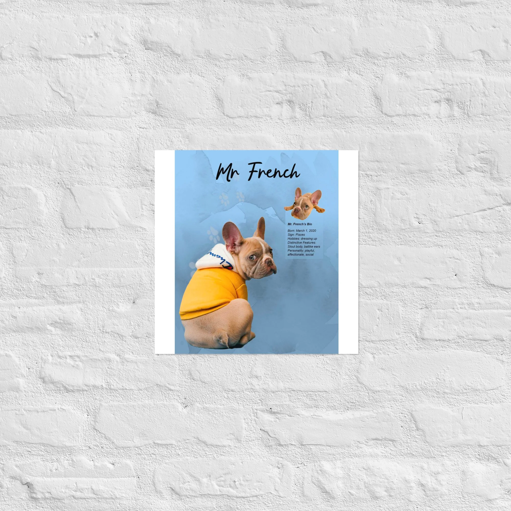 enhanced-matte-paper-poster-(in)-14x14-front-68a6613517ee6.jpg
