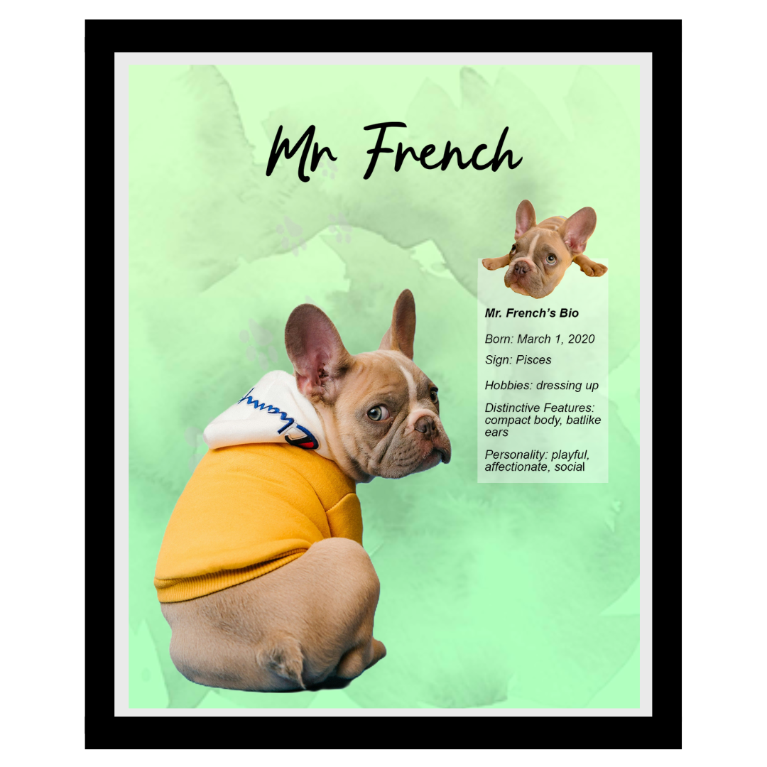 mr french (10).png