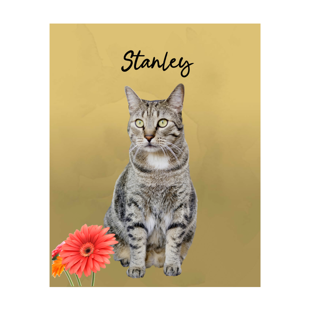 stanley (3).png