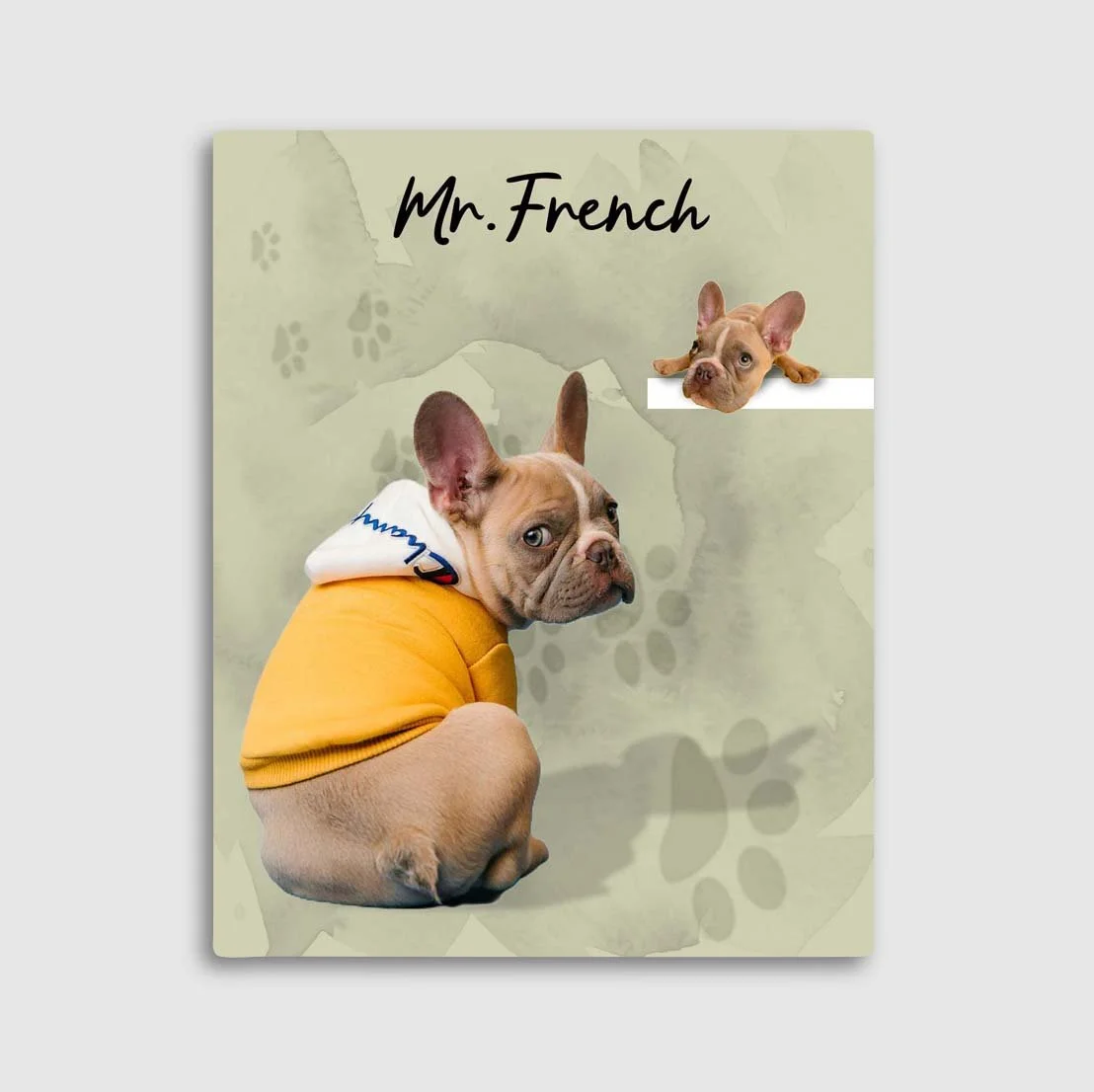 Mr french 2 sage w_o type.jpg