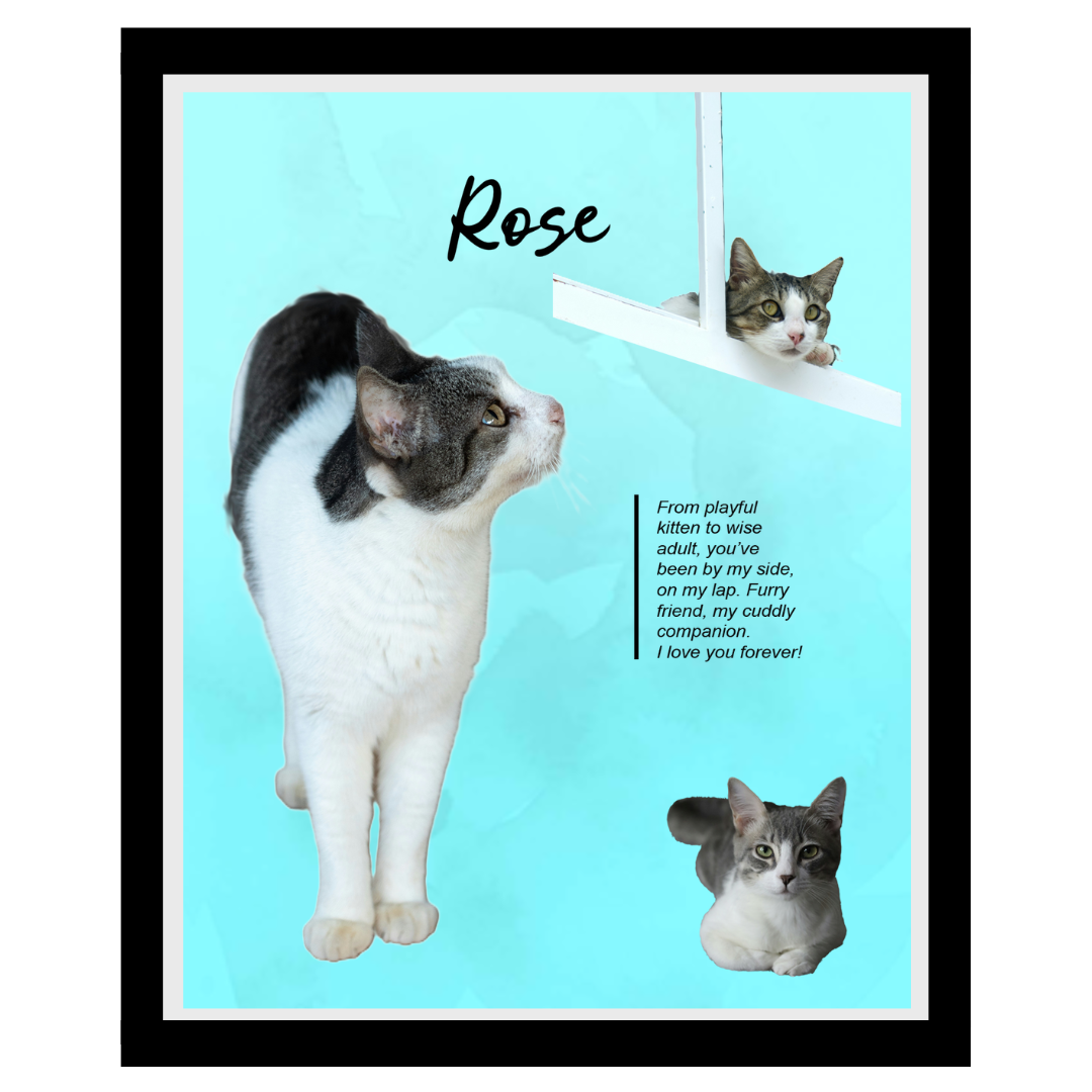 rose (8).png