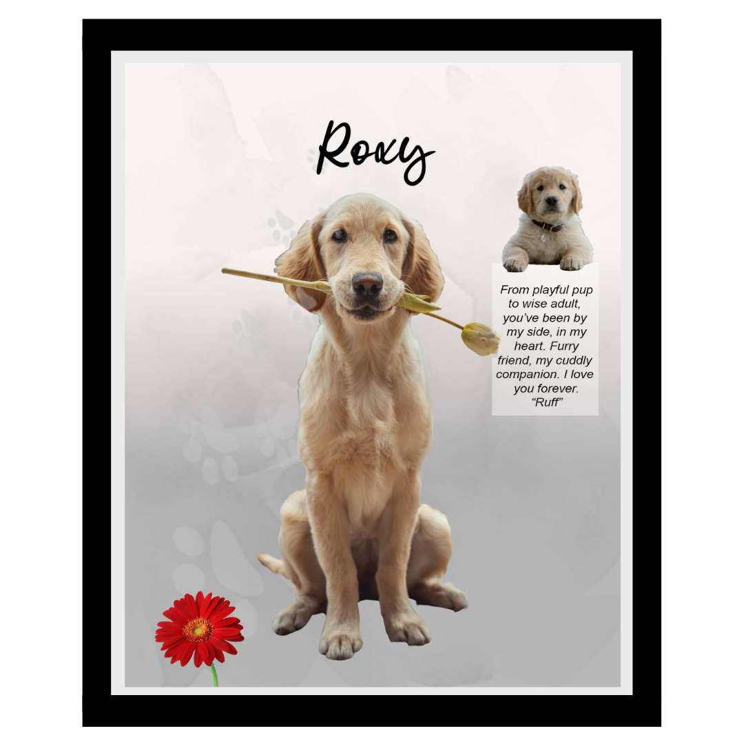 roxy (6).png