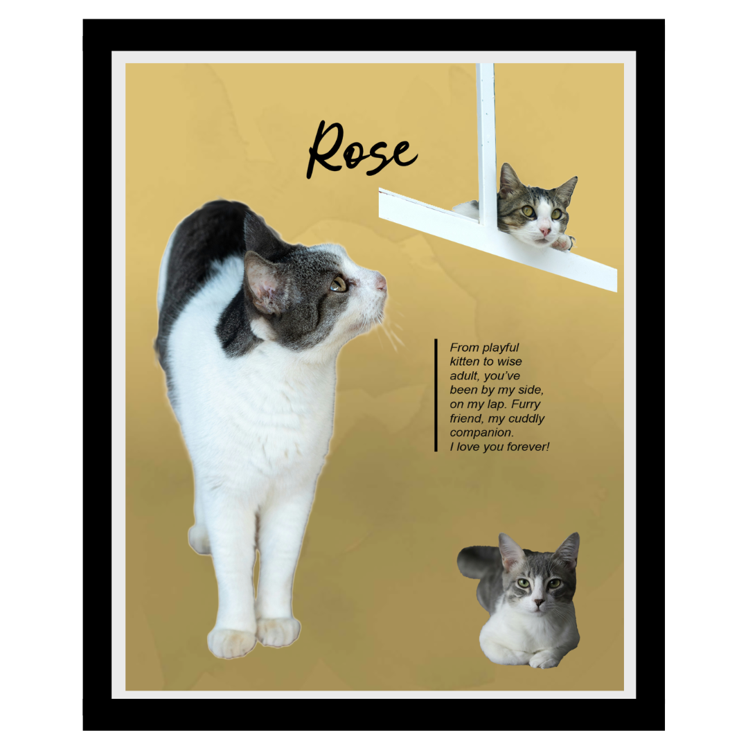 rose (4).png