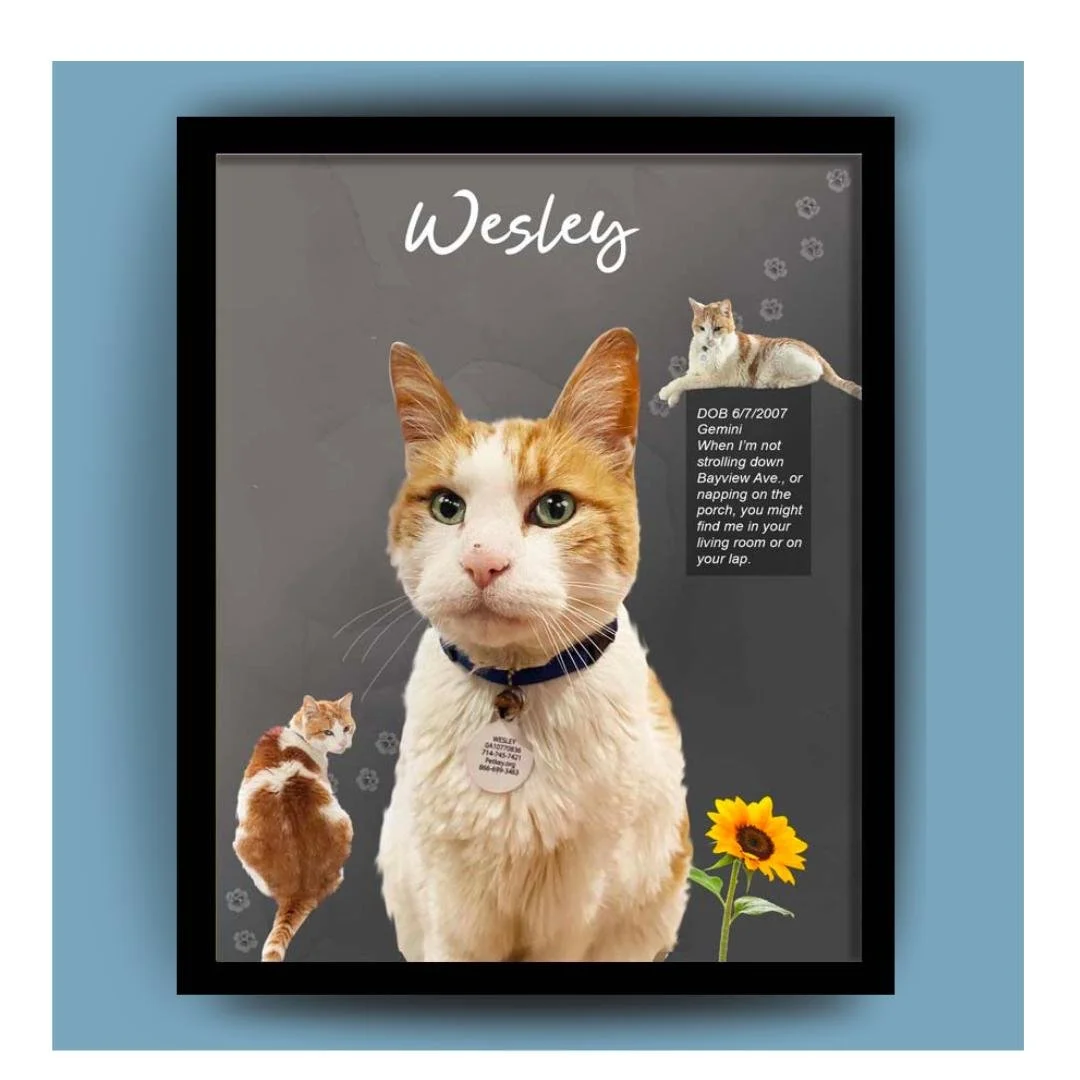 A framed poster of a French Bulldog puppy wearing a yellow hoodie, with a smaller picture of the same dog with a caption about the dog's biography, traits, and personality.