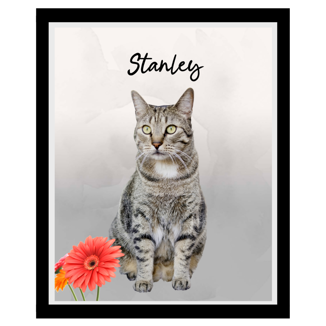 stanley (7).png