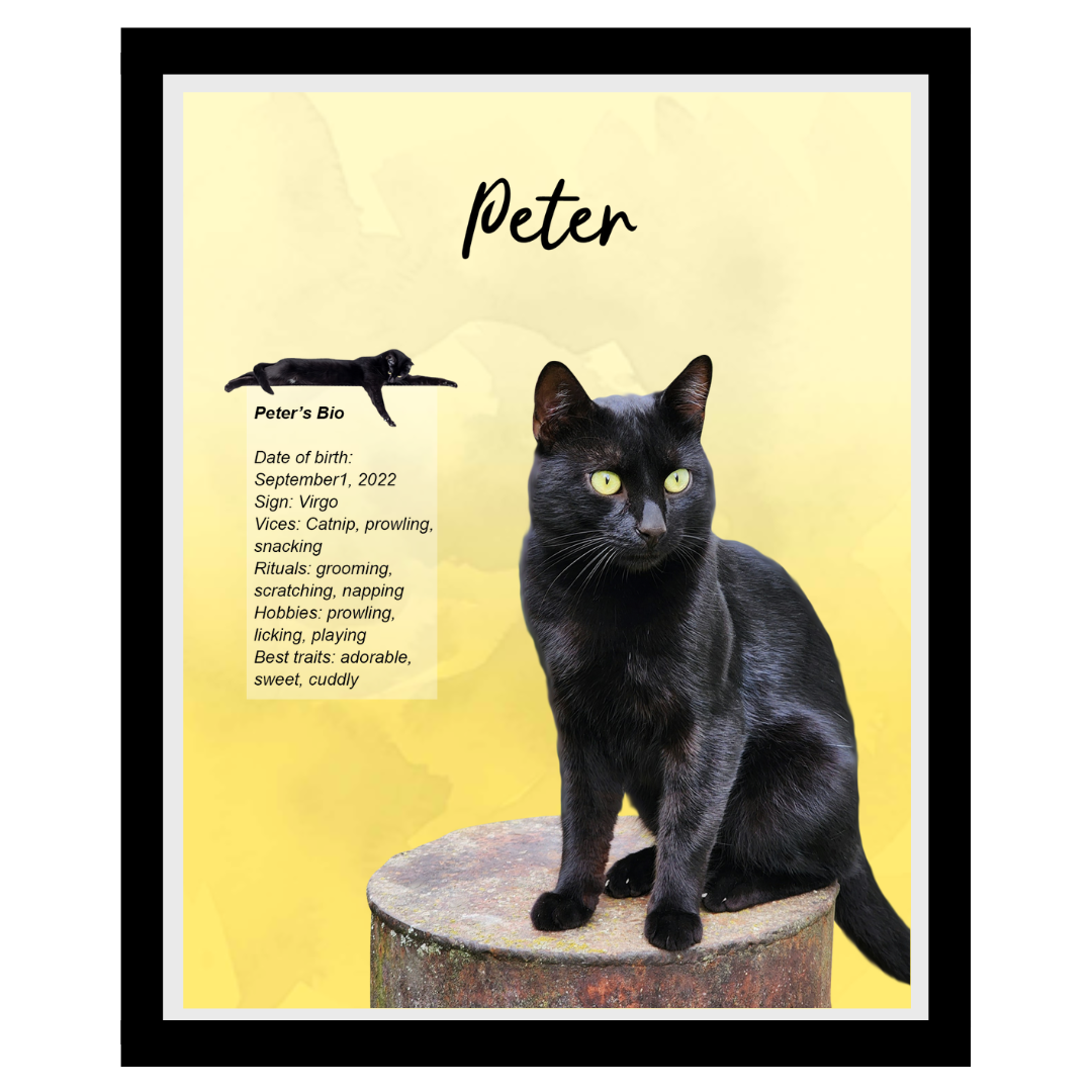 peter (11).png