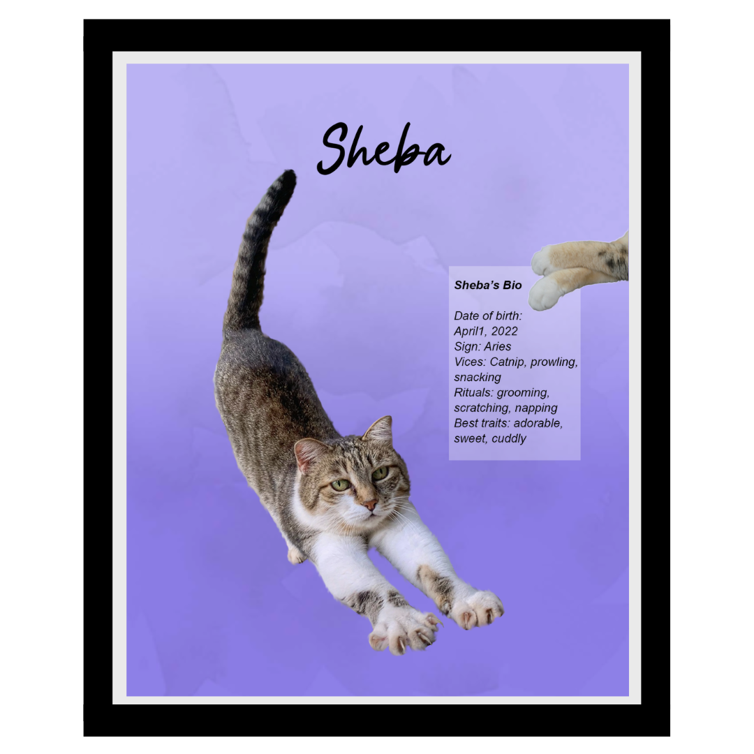 sheba (13).png