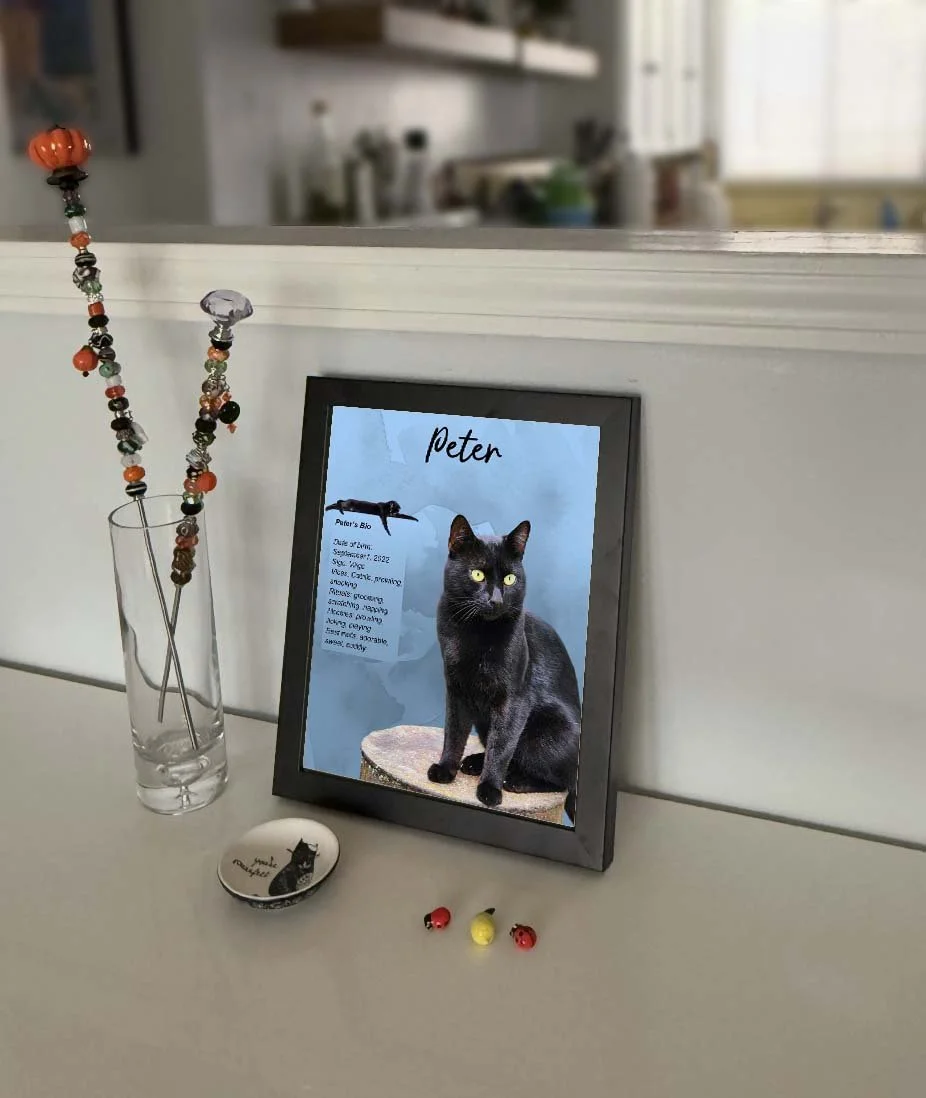 8X10 peter wall frame1.jpg
