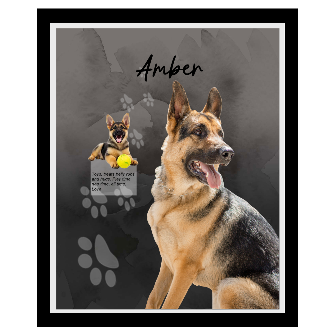 amber (13).png