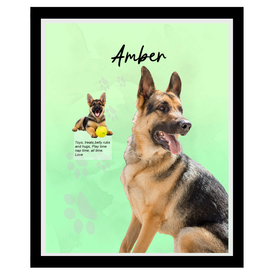 amber (3).png