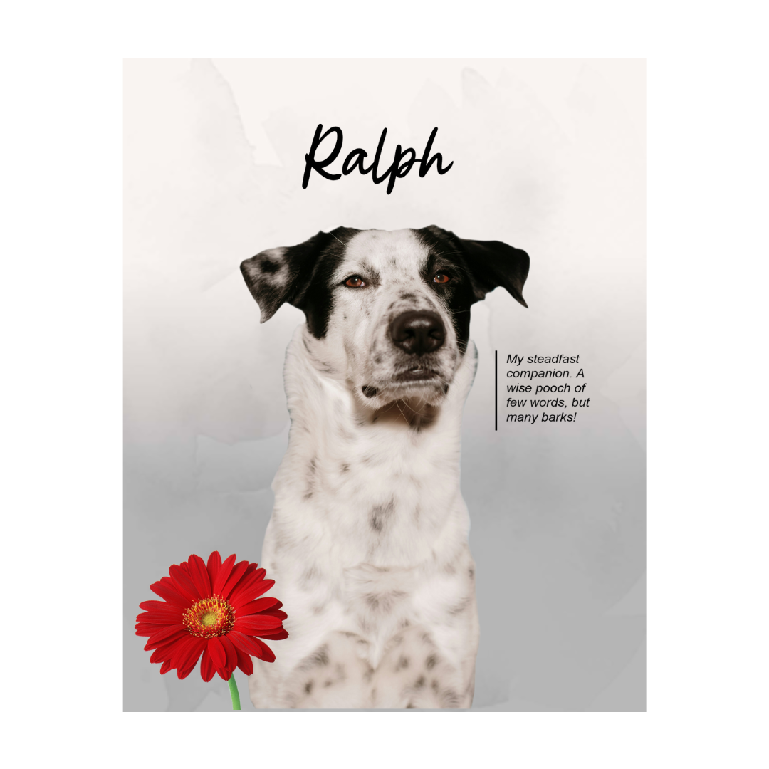 ralph (3).png